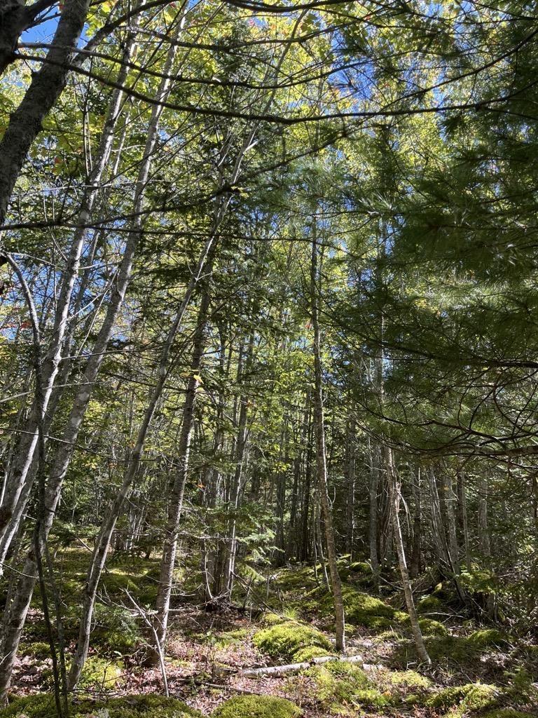 $89,900.00: Lot 2026 Perotte Road, Perotte