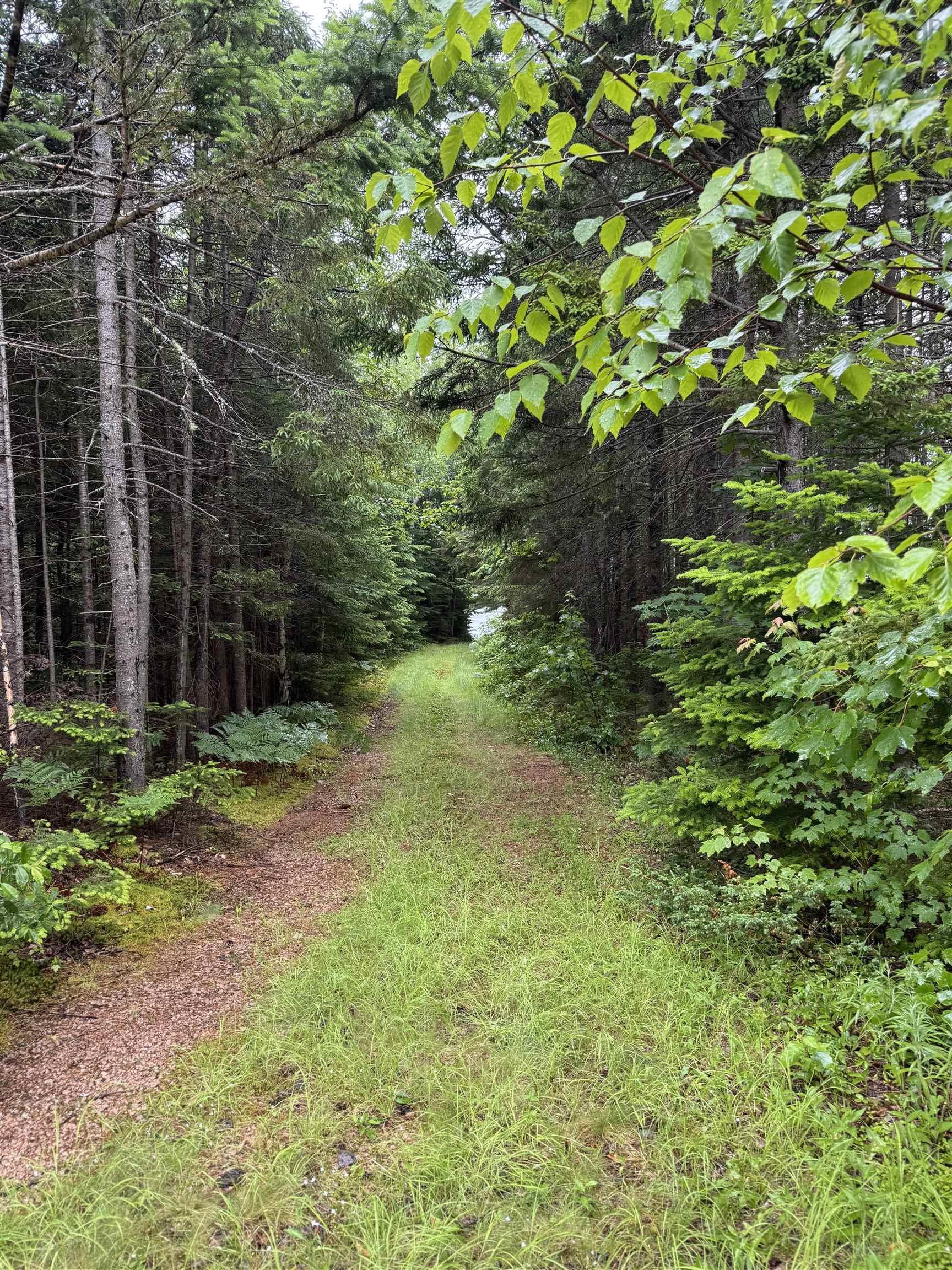 $175,000.00: 520 Falkenham Road, East Dalhousie