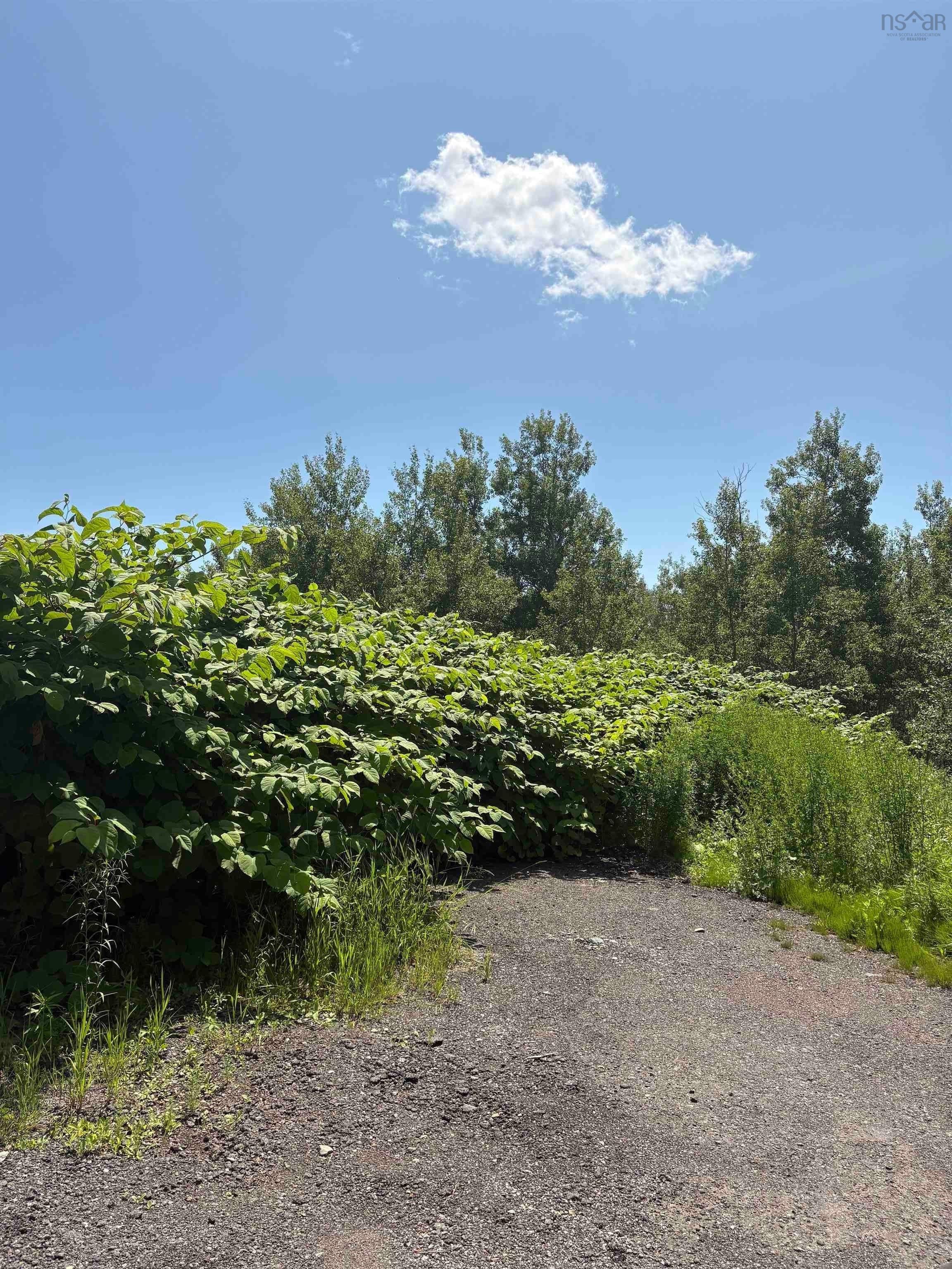 $29,500.00: 0 Lorway Avenue, Reserve Mines