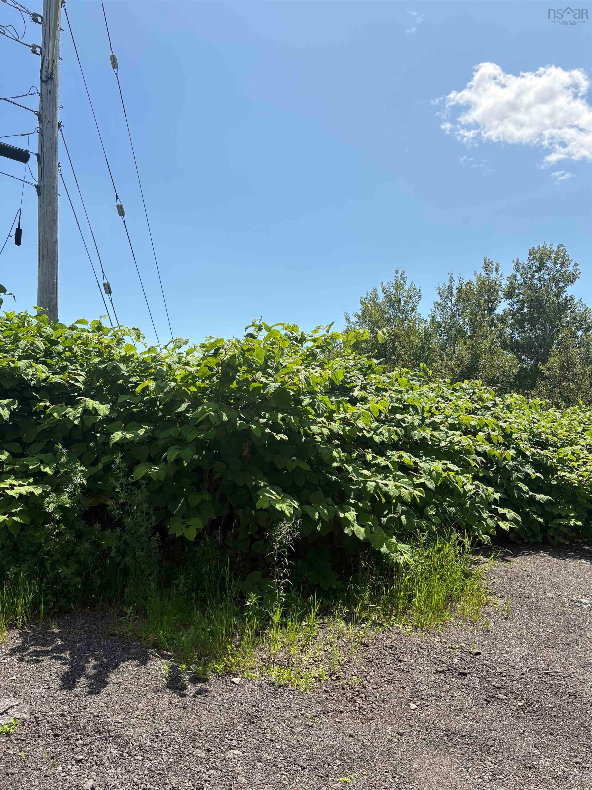 $29,500.00: 0 Lorway Avenue, Reserve Mines