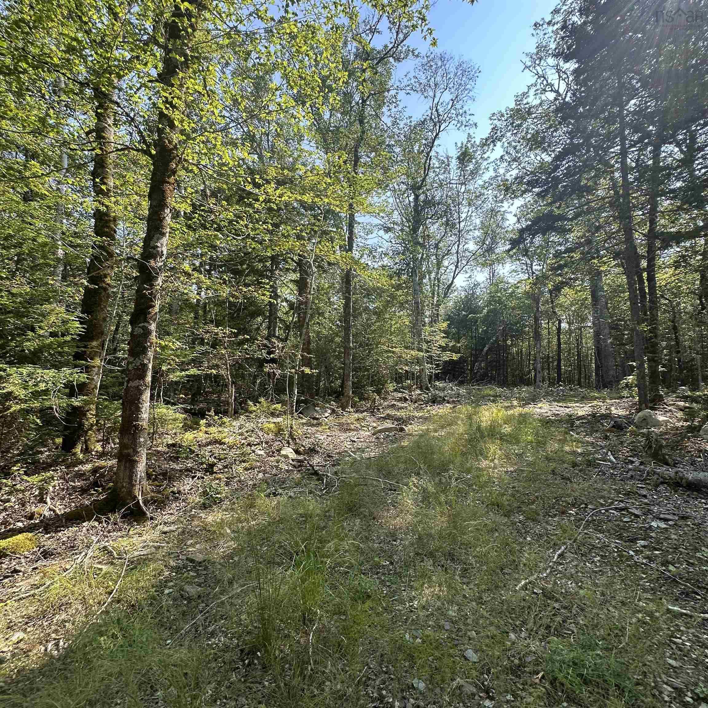 Lot 49 Island View Terrace, Labelle, NS (MLS® 202619438)