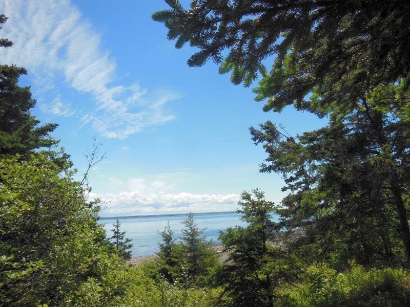 $260,000.00: #217 Highway, Tiddville