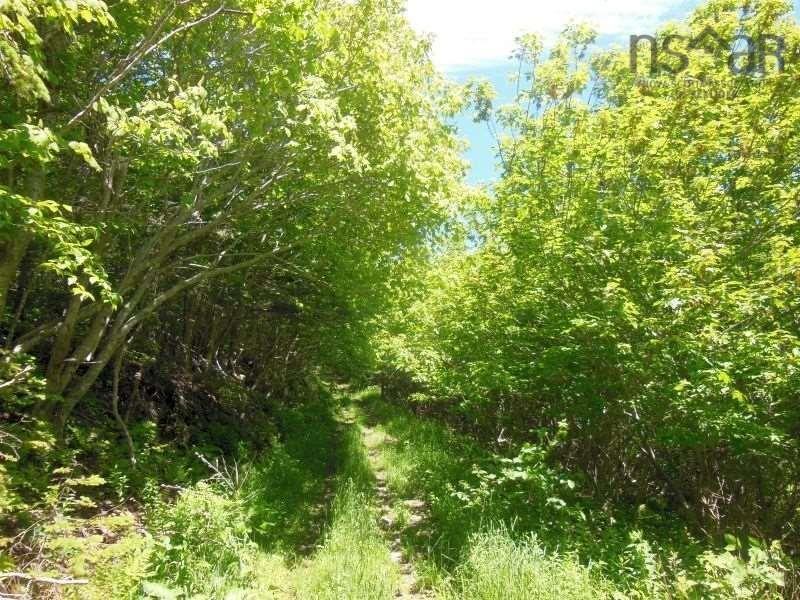 $260,000.00: #217 Highway, Tiddville