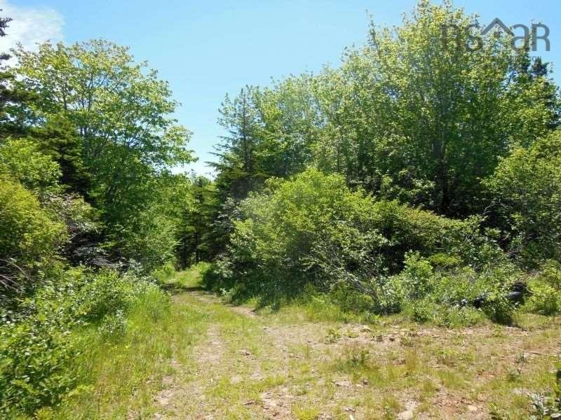 $260,000.00: #217 Highway, Tiddville