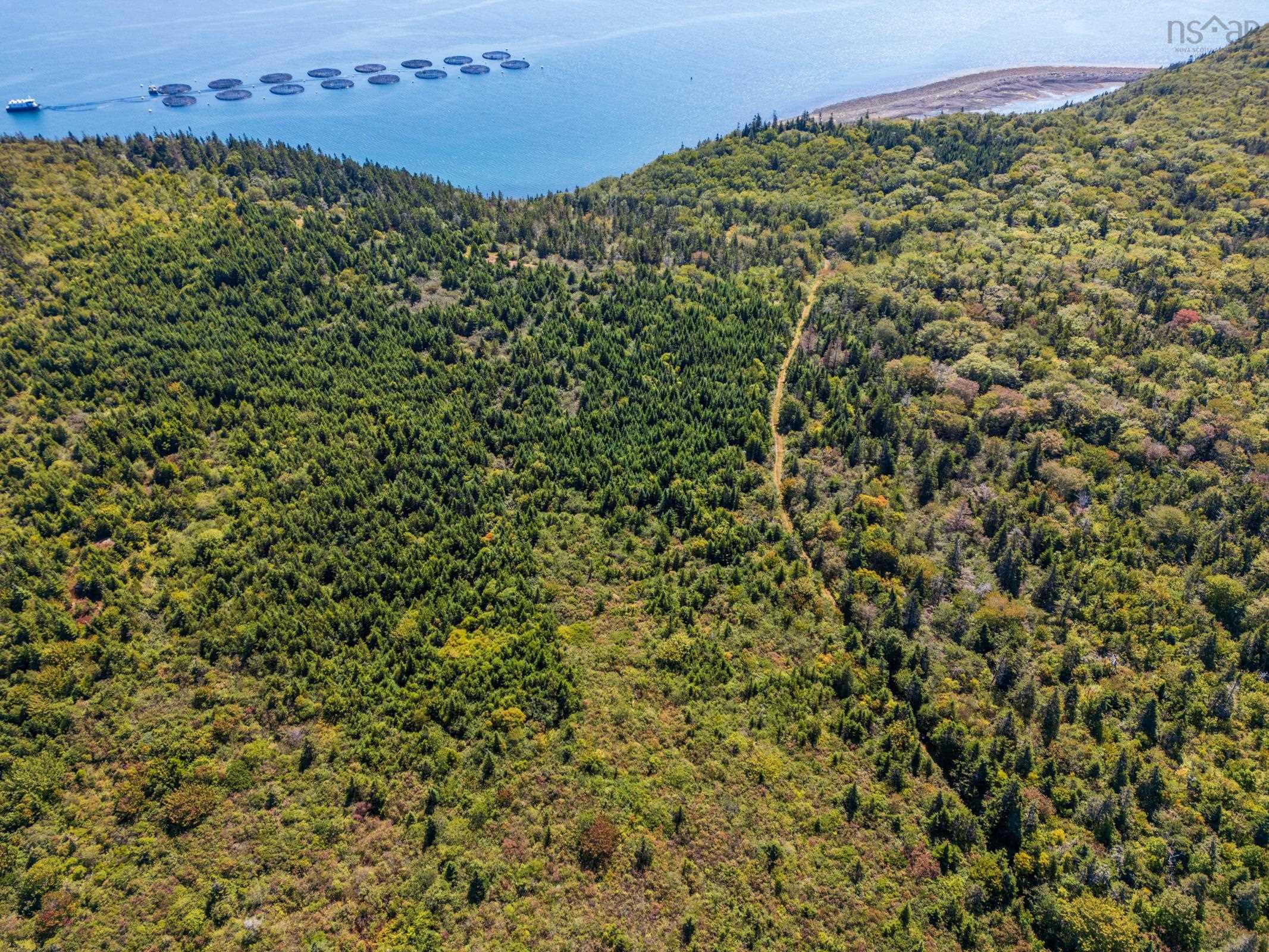 $260,000.00: #217 Highway, Tiddville