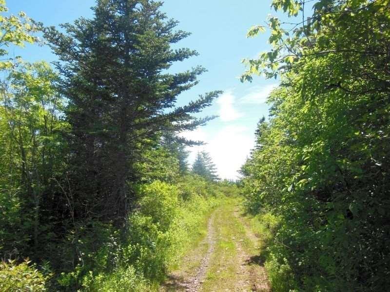 $260,000.00: #217 Highway, Tiddville