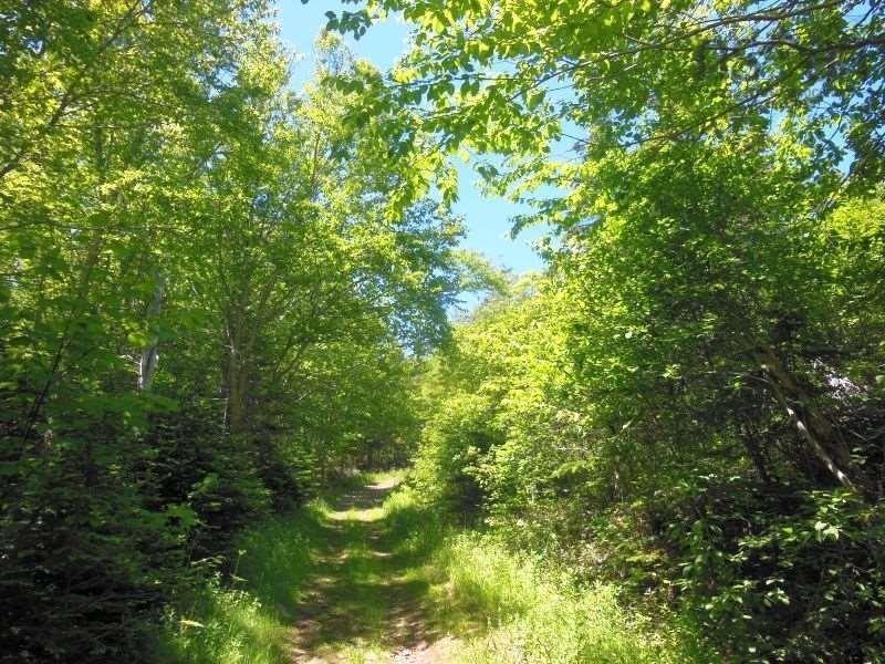 $260,000.00: #217 Highway, Tiddville