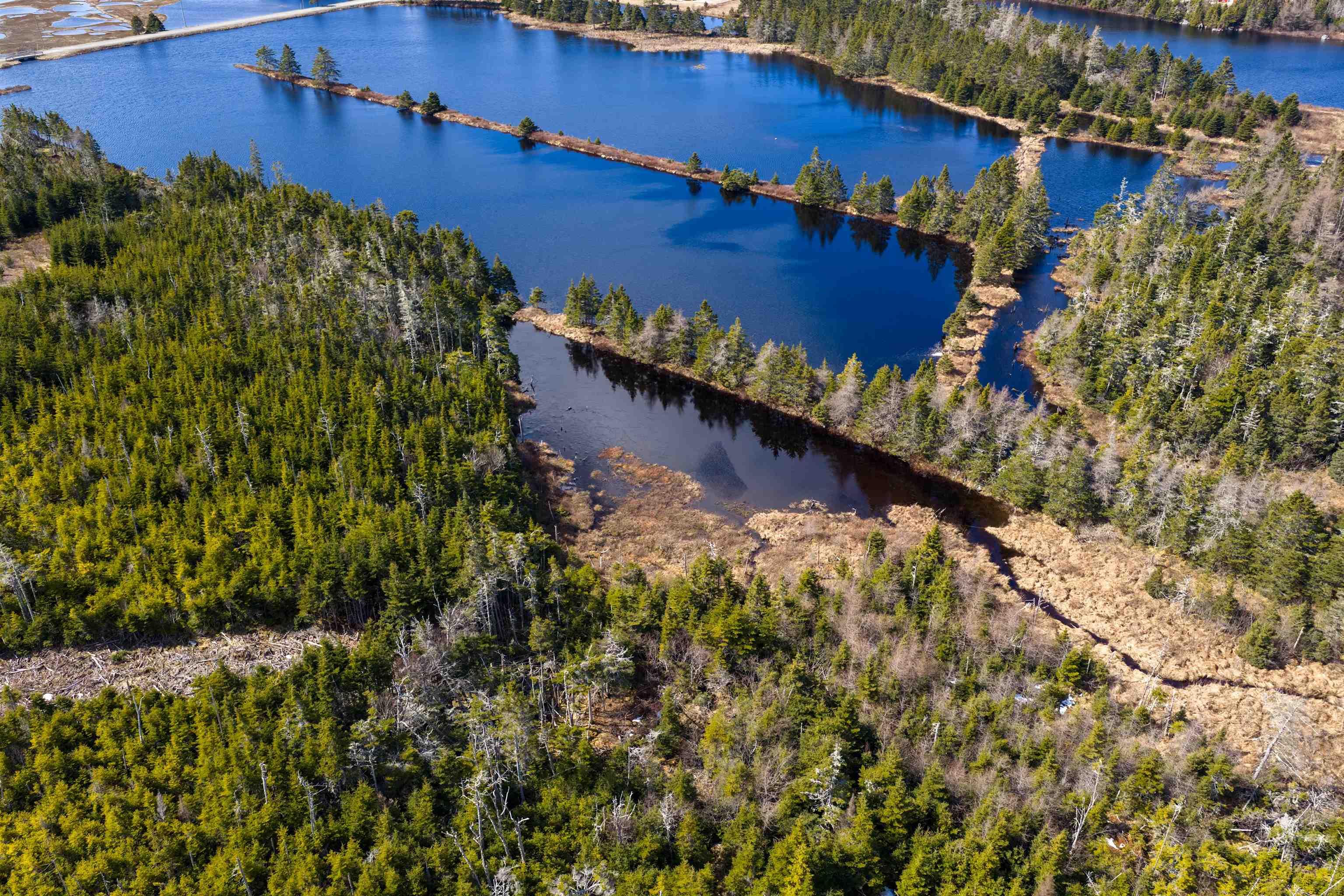 19 Lipkudamoonk Path, Clam Bay, NS (MLS 202619508)