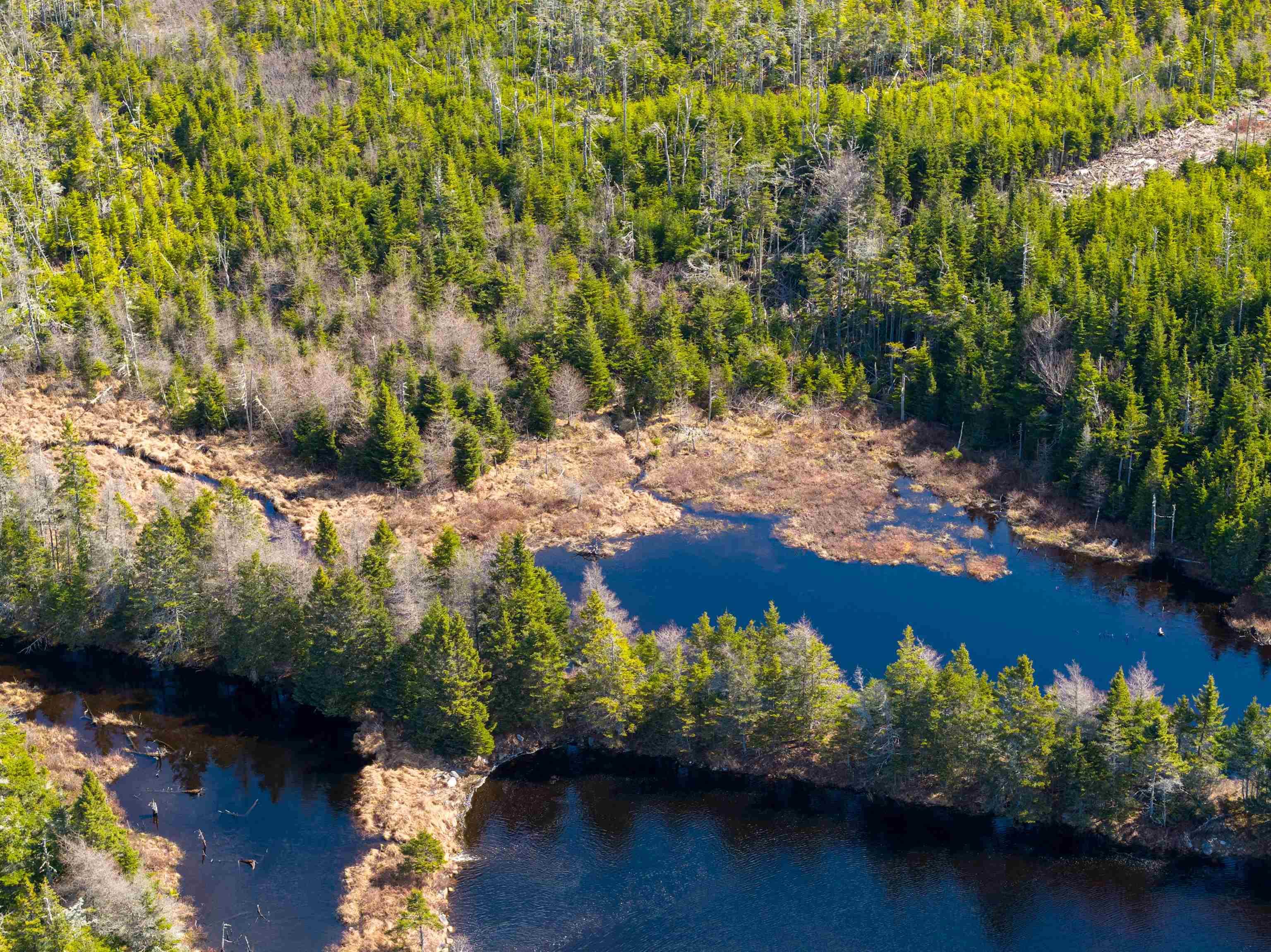 19 Lipkudamoonk Path, Clam Bay, NS (MLS 202619508)