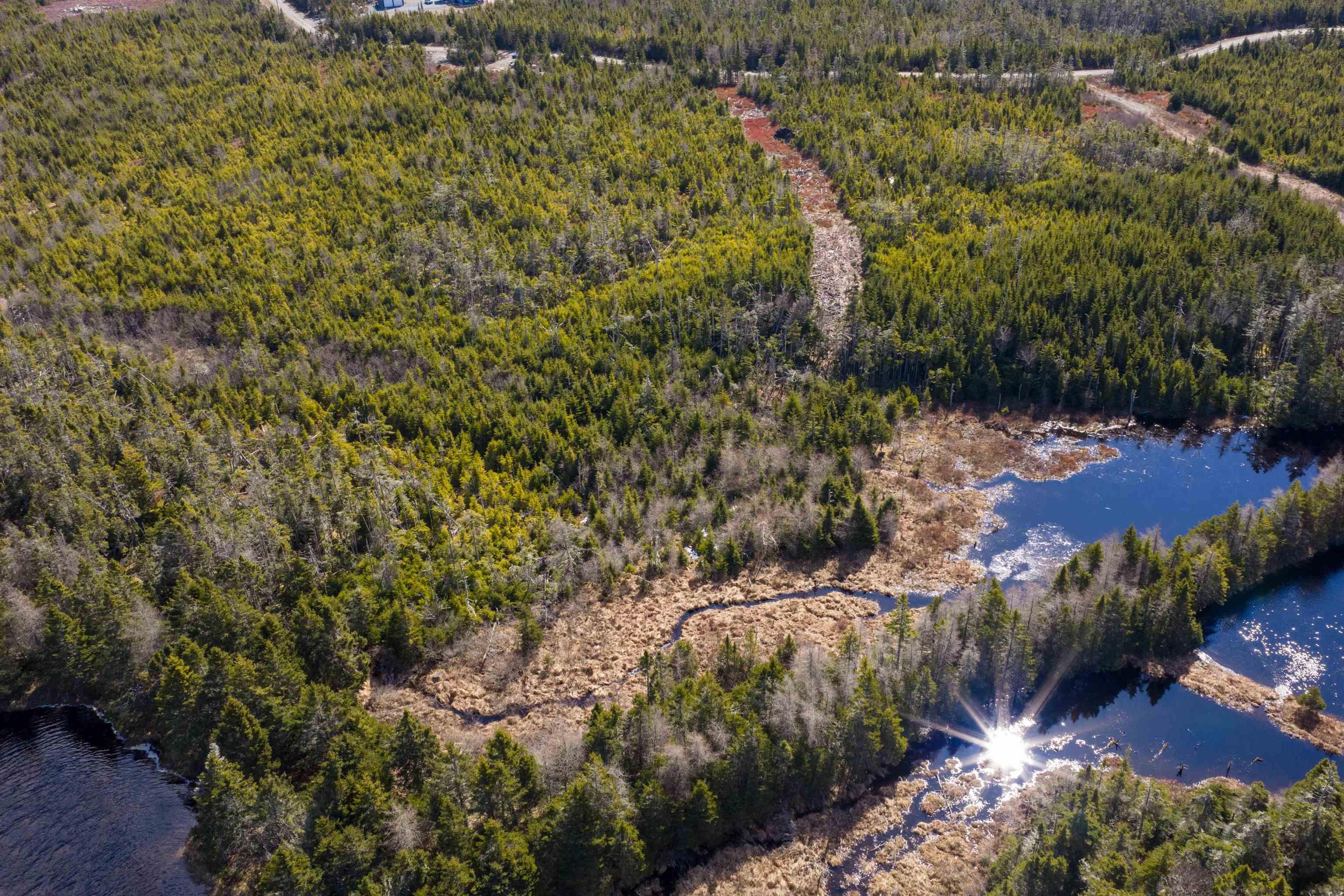 19 Lipkudamoonk Path, Clam Bay, NS (MLS 202619508)