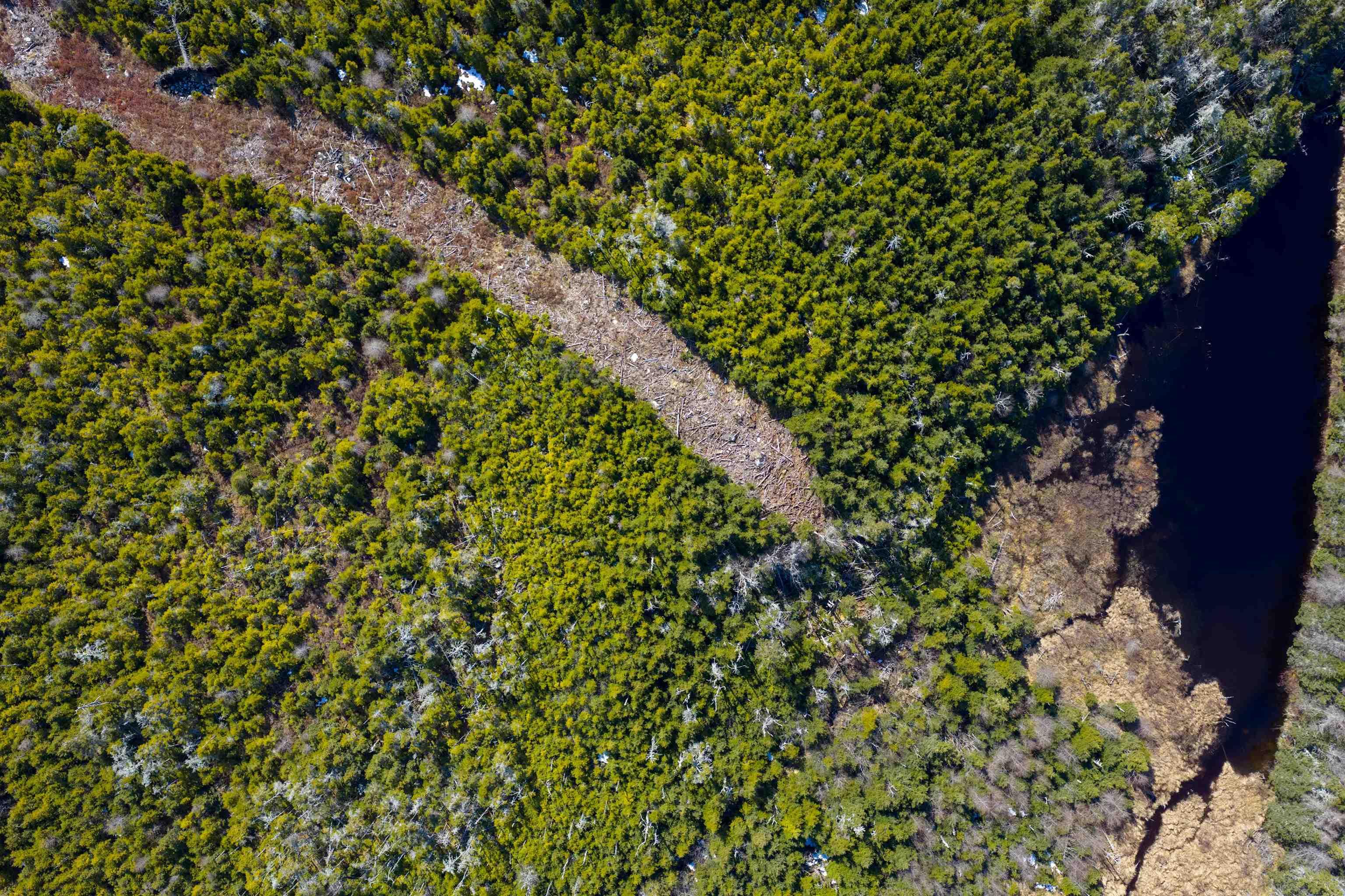 19 Lipkudamoonk Path, Clam Bay, NS (MLS 202619508)