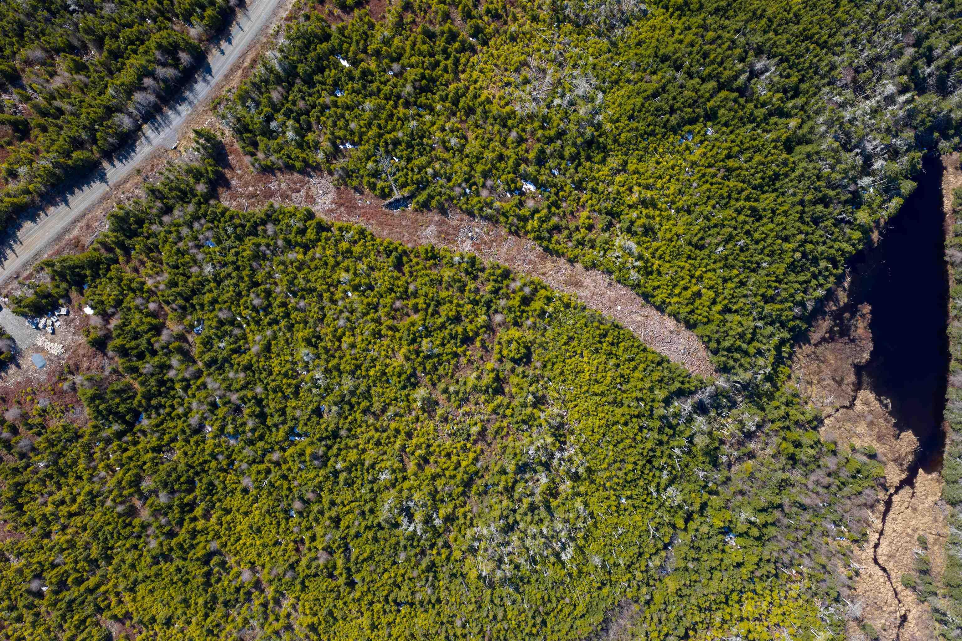 19 Lipkudamoonk Path, Clam Bay, NS (MLS 202619508)