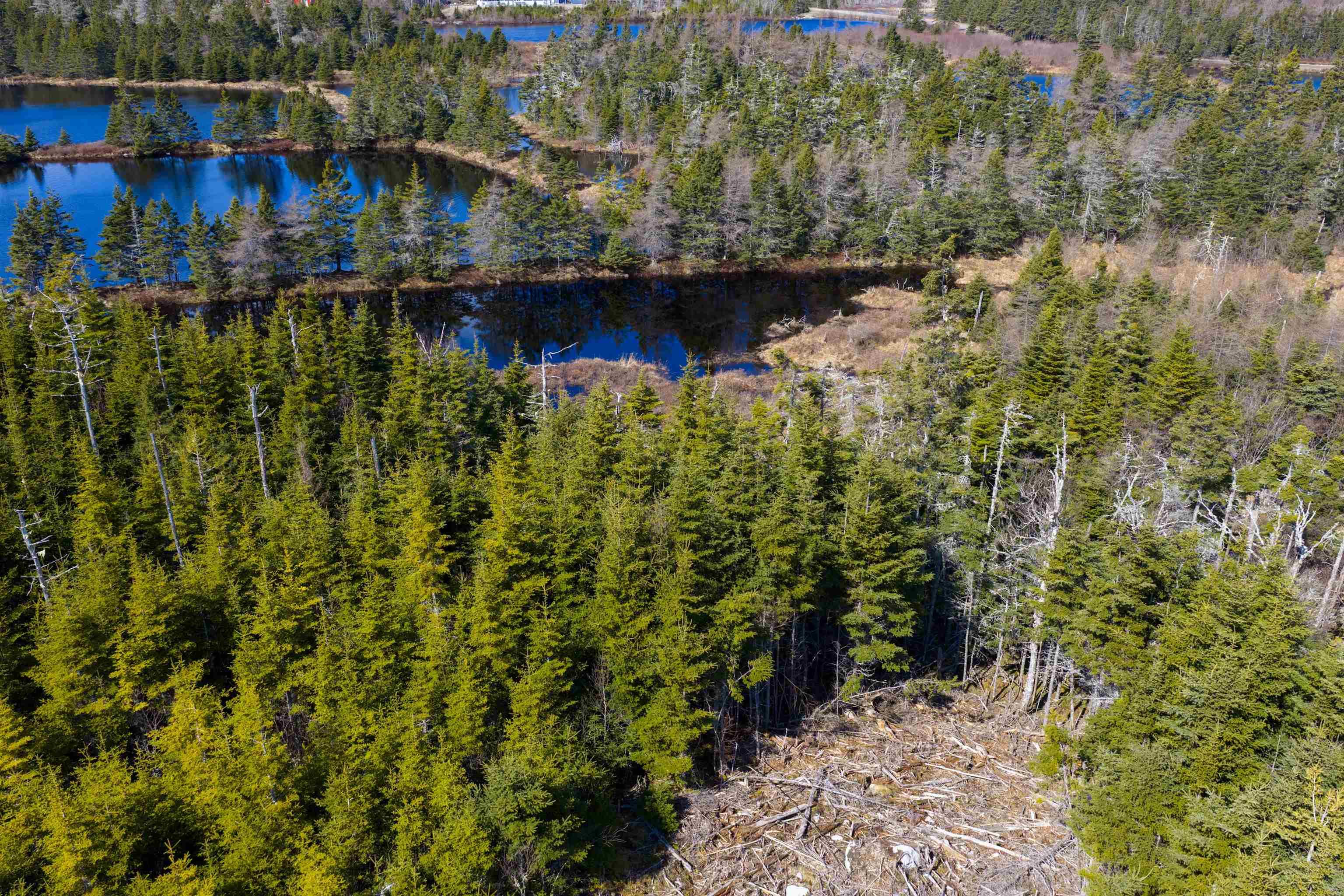 19 Lipkudamoonk Path, Clam Bay, NS (MLS 202619508)