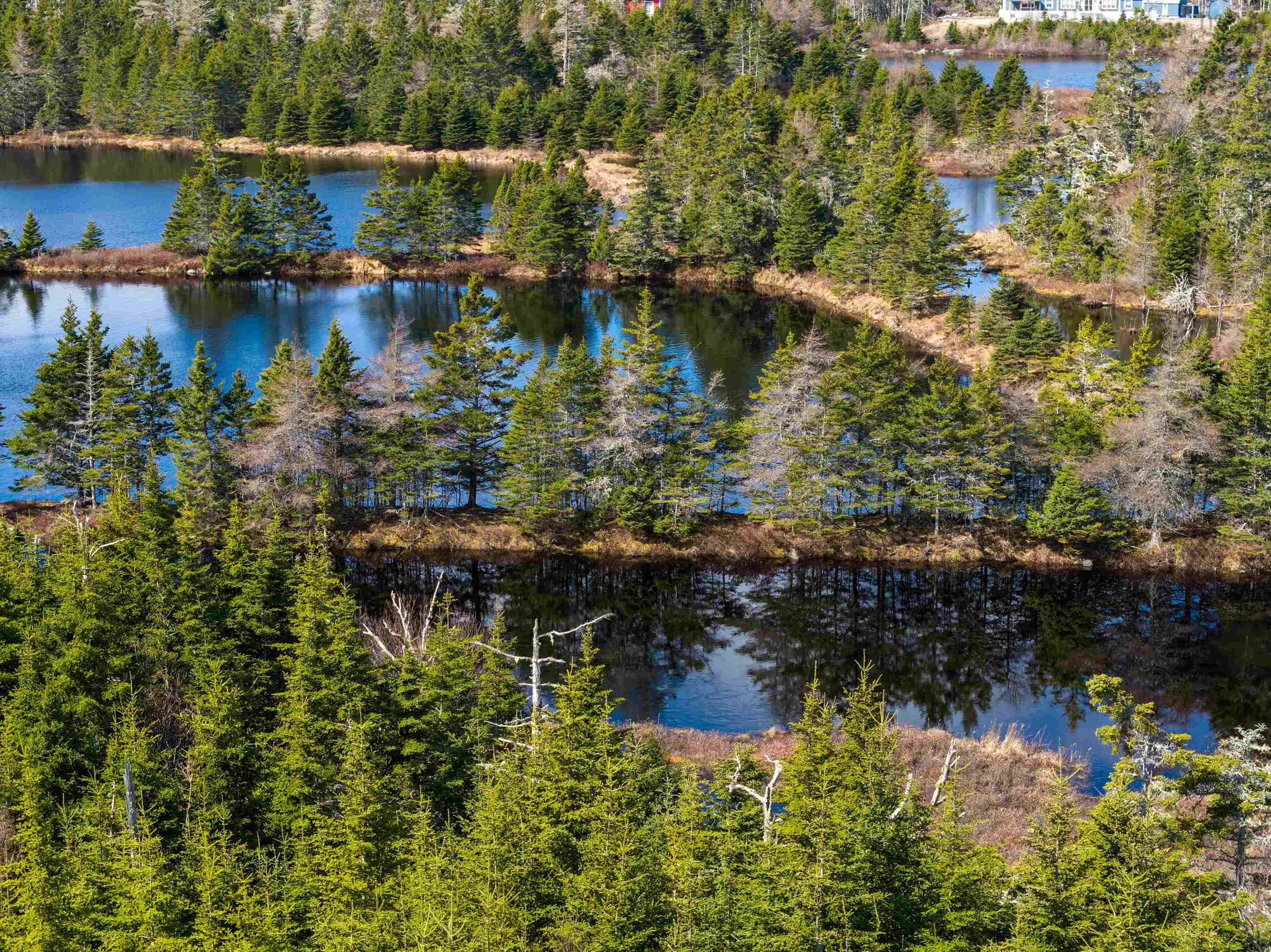19 Lipkudamoonk Path, Clam Bay, NS (MLS 202619508)