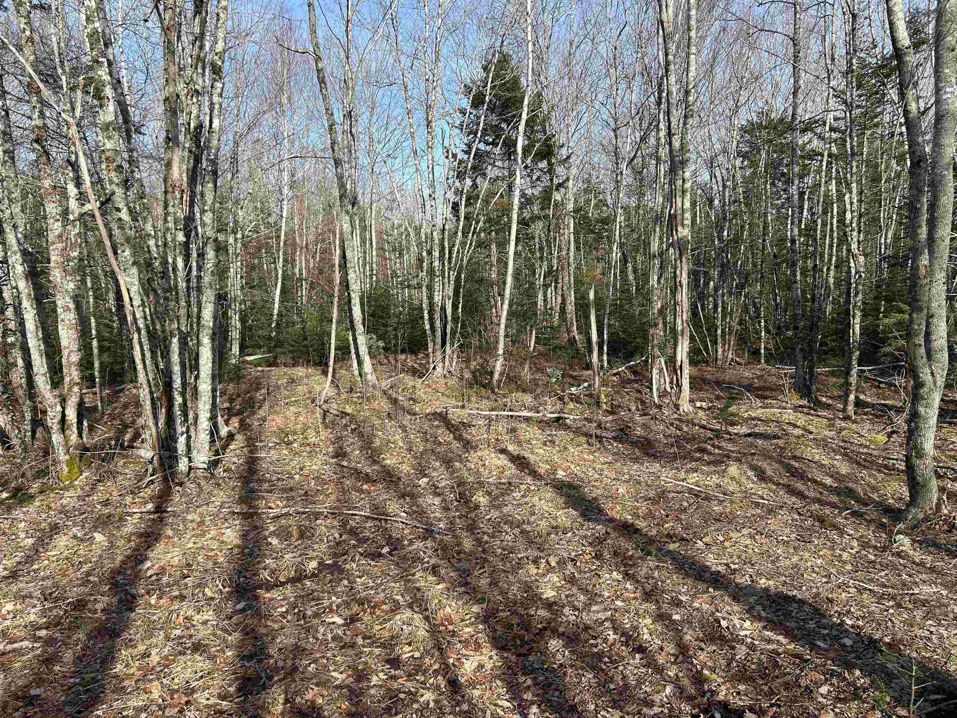 60 Sedona Court, Oakfield, NS (MLS 202619722)