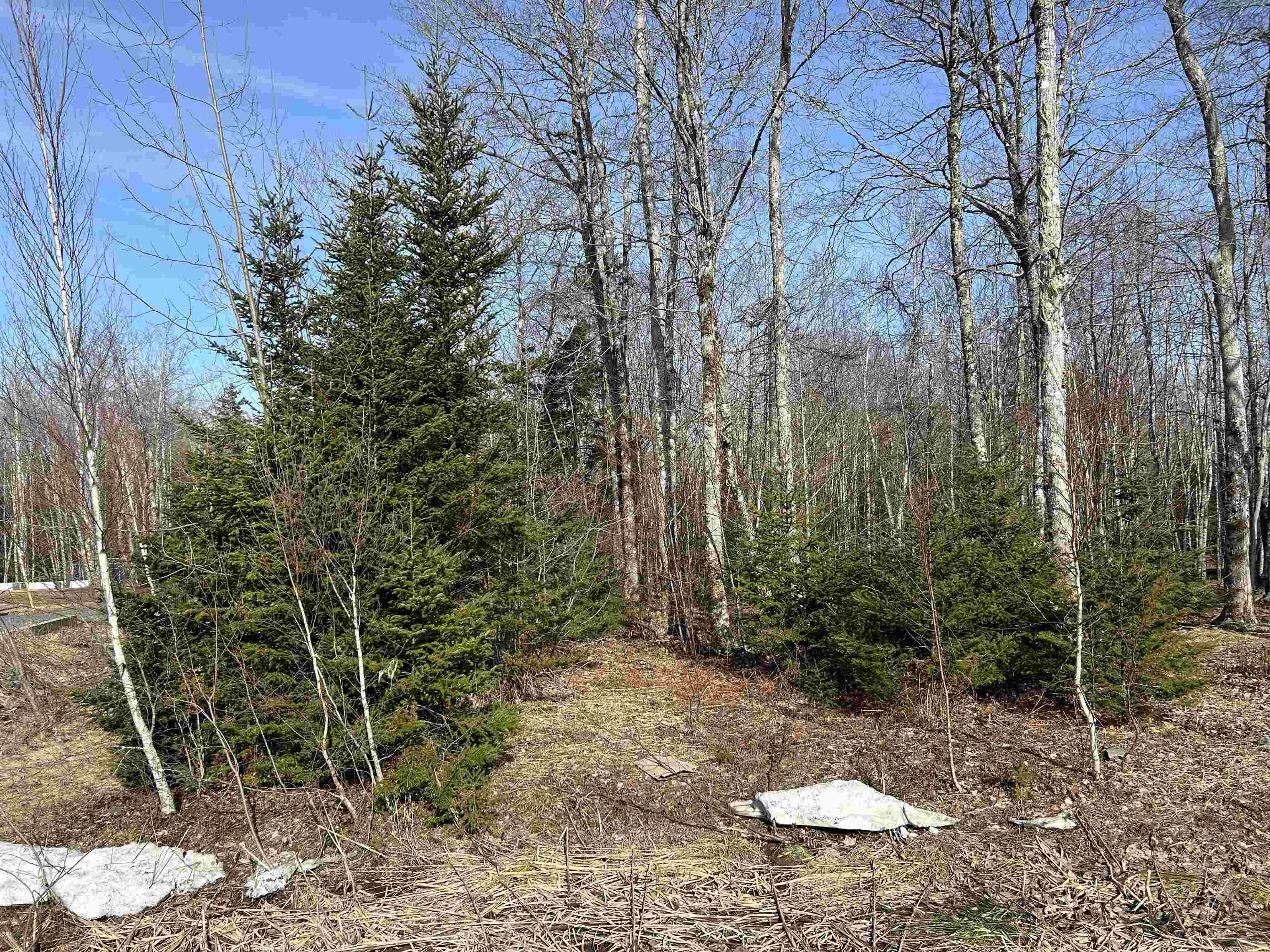 60 Sedona Court, Oakfield, NS (MLS 202619722)