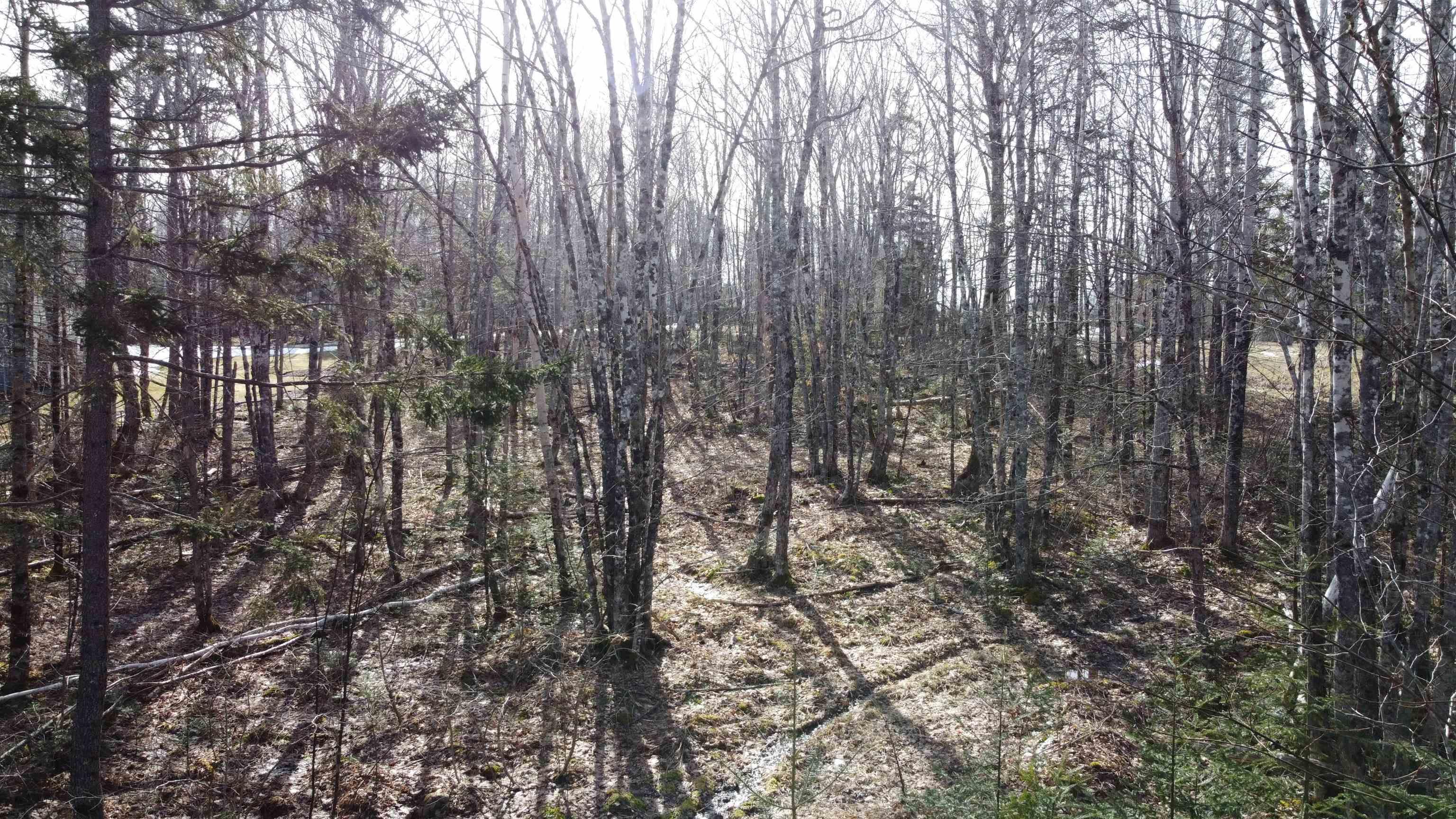 60 Sedona Court, Oakfield, NS (MLS 202619722)
