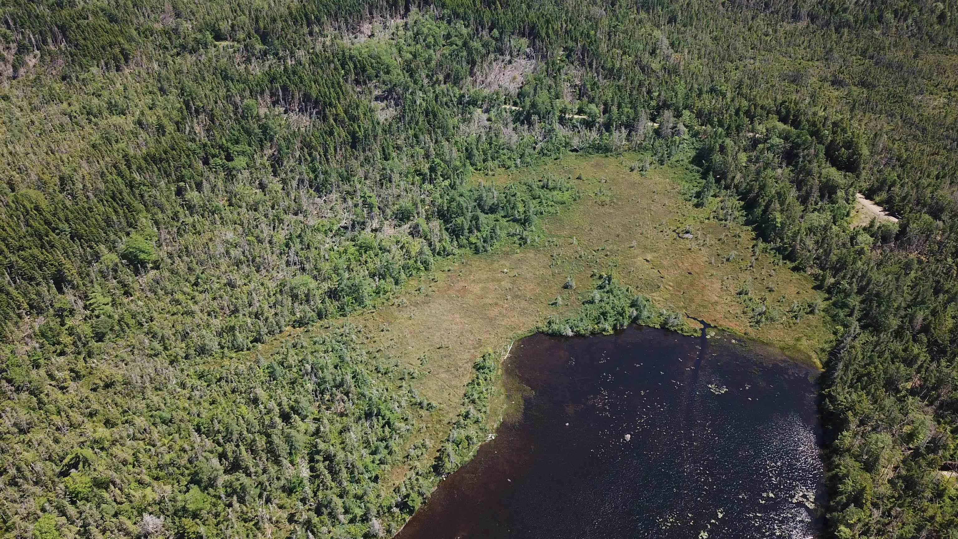 $75,000.00: Lot Spar Lake, Port Dufferin