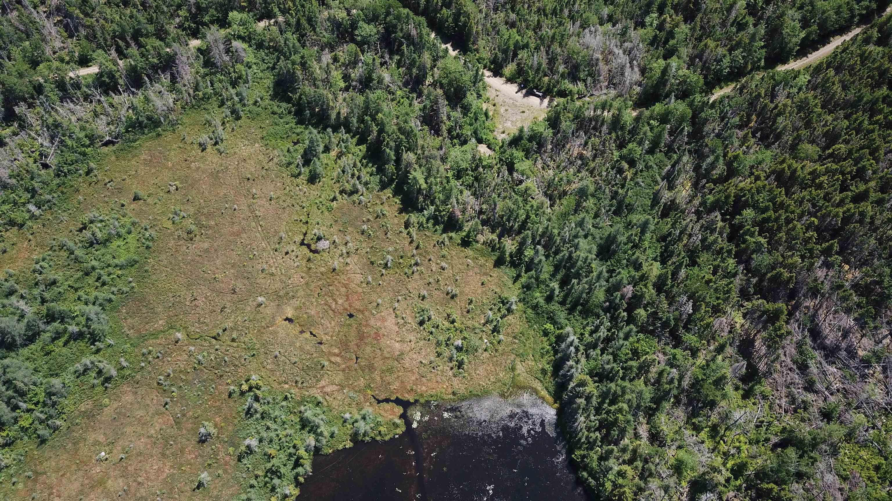 $75,000.00: Lot Spar Lake, Port Dufferin