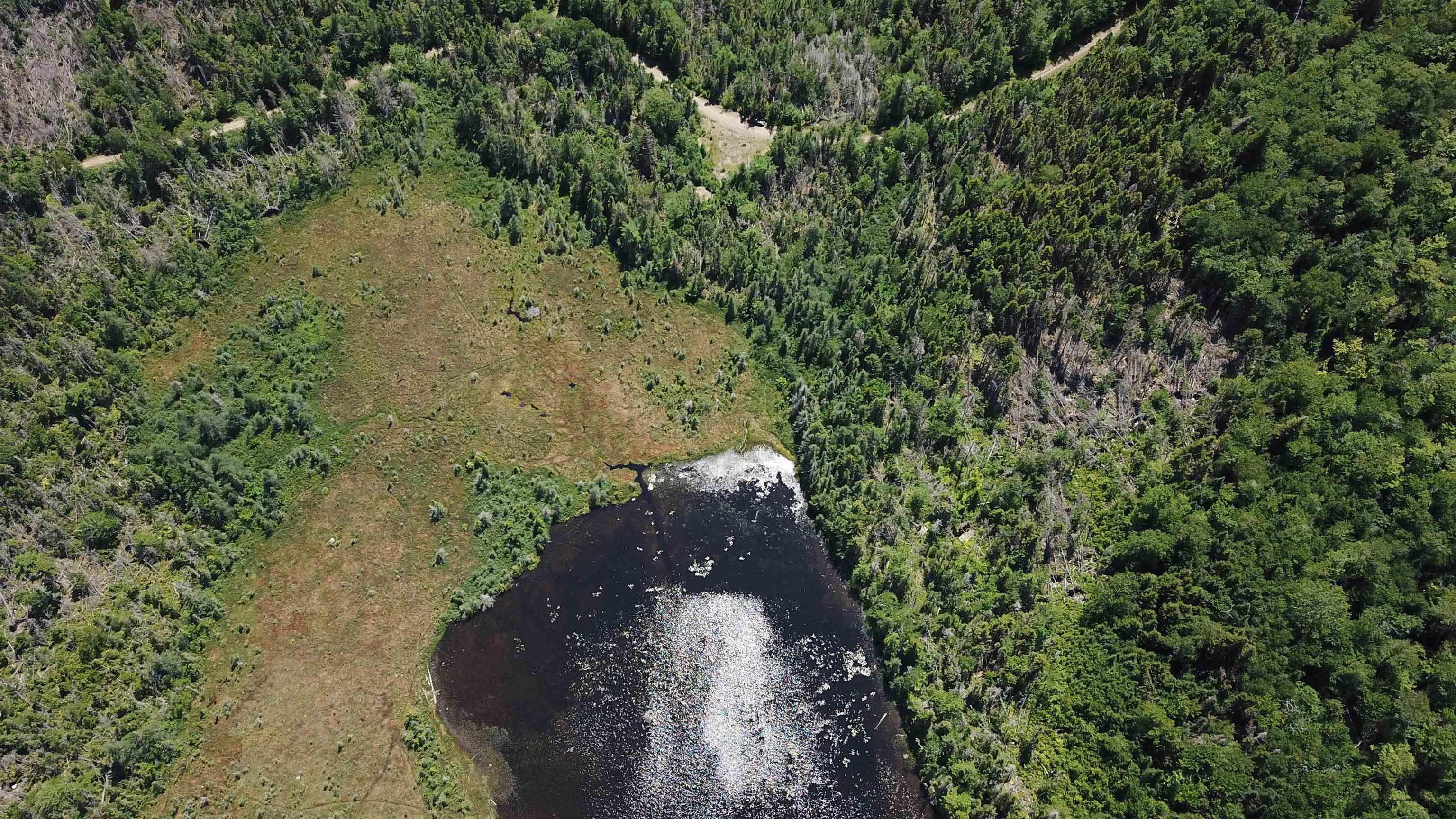 $75,000.00: Lot Spar Lake, Port Dufferin