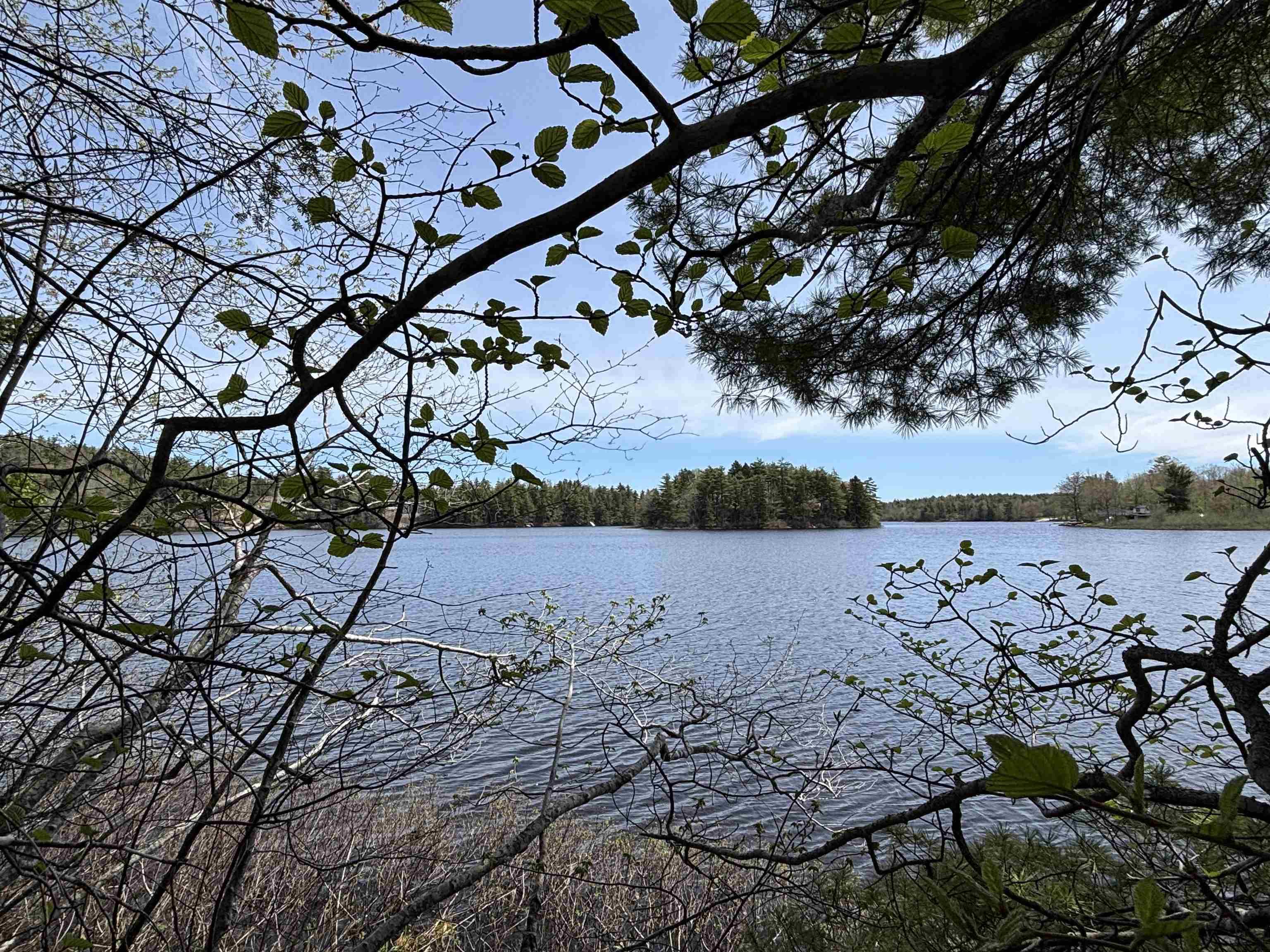$119,900.00: Lot 6-23 Highway 325, West Clifford