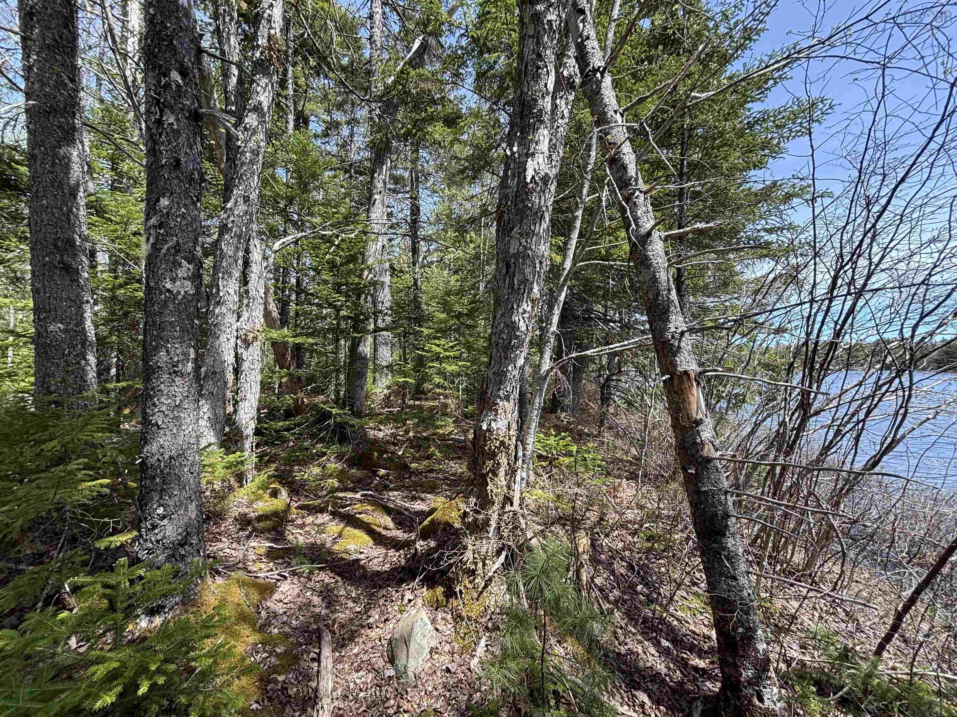 $119,900.00: Lot 6-23 Highway 325, West Clifford
