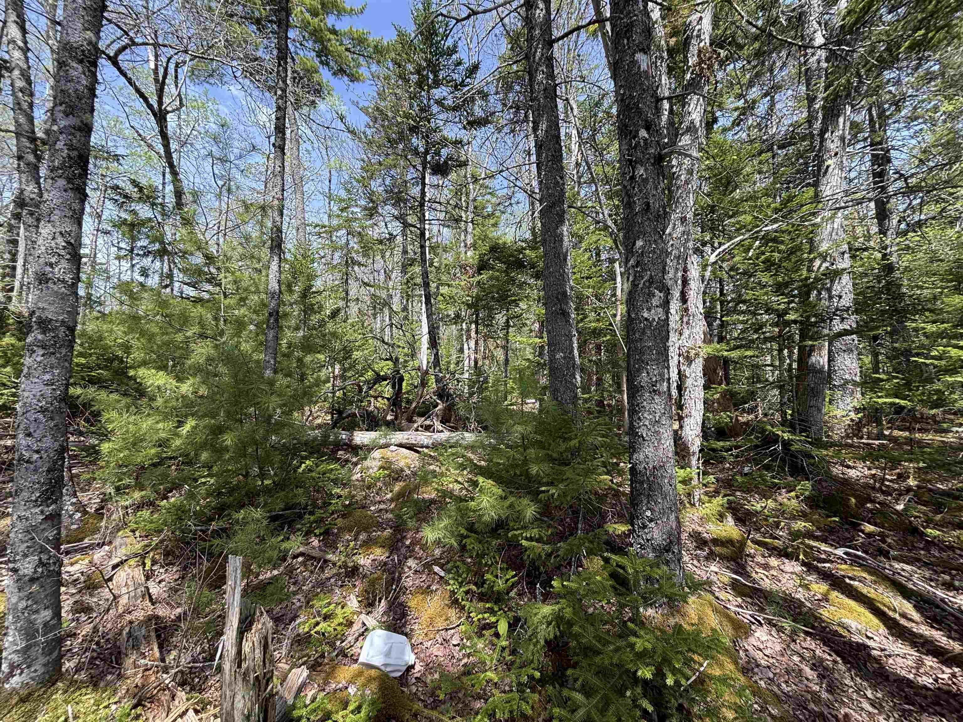 $119,900.00: Lot 6-23 Highway 325, West Clifford