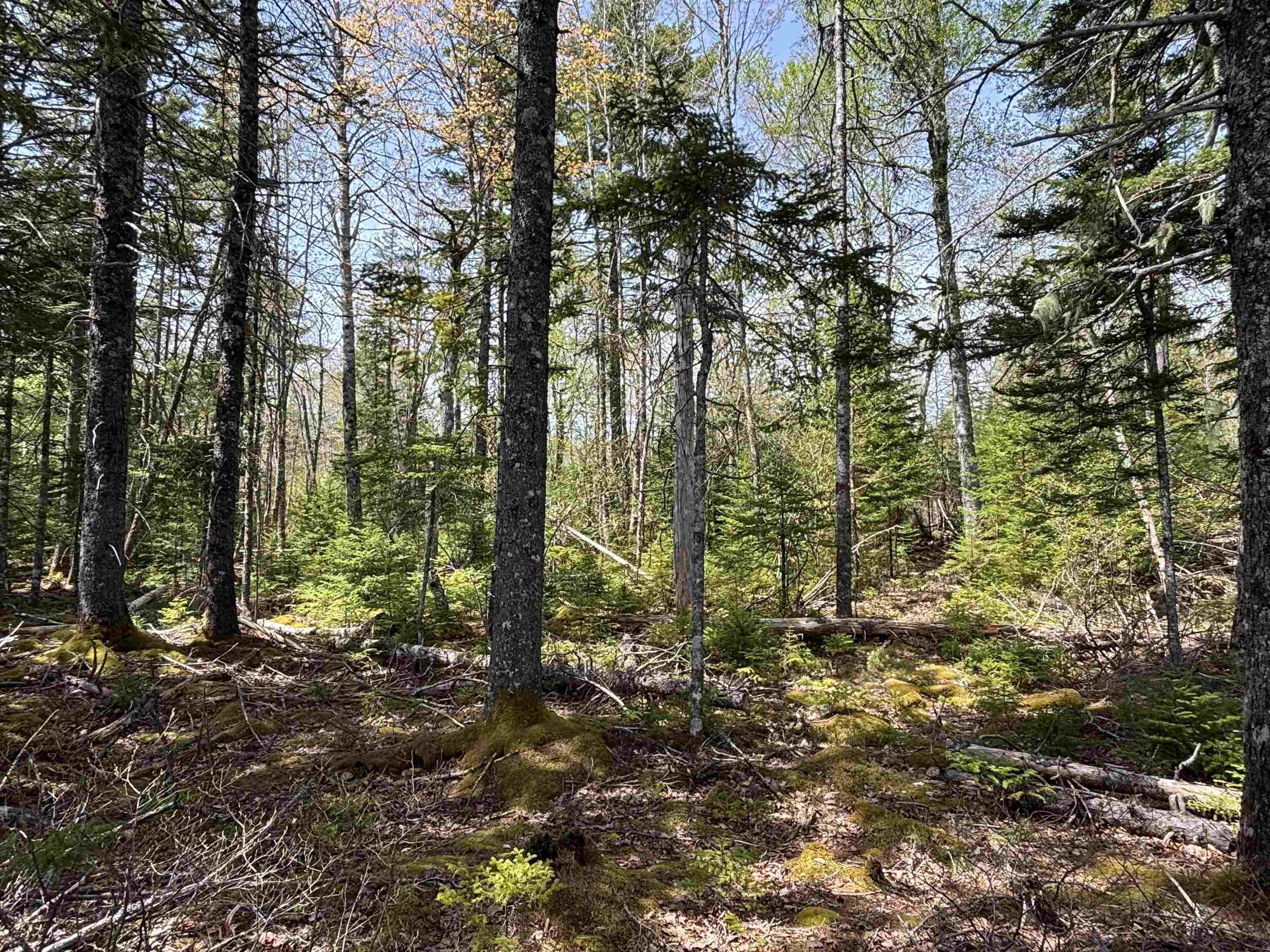 $119,900.00: Lot 6-23 Highway 325, West Clifford