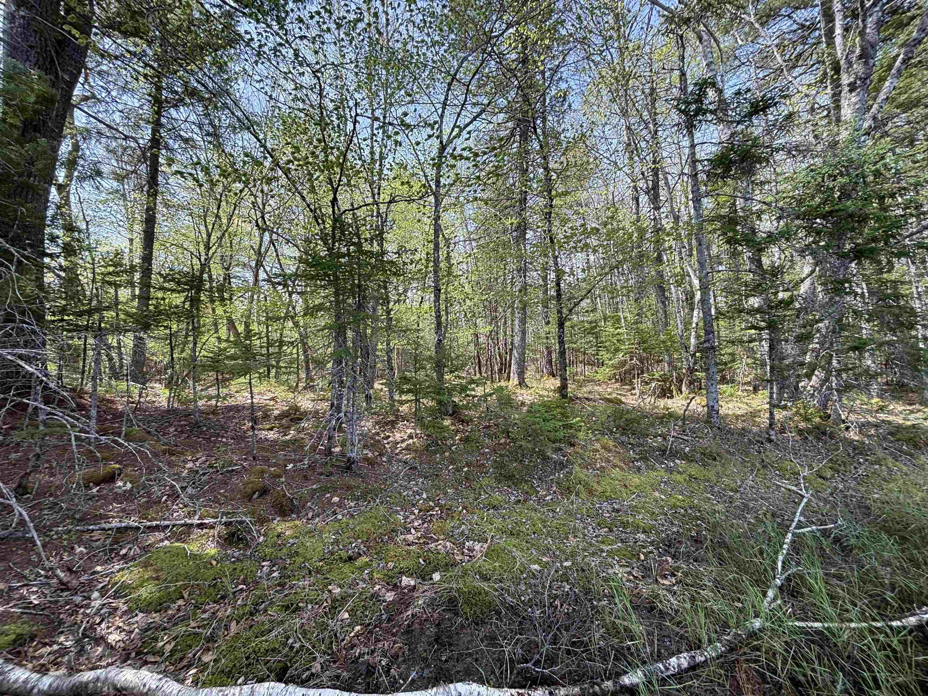 $119,900.00: Lot 4-23 Highway 325, West Clifford