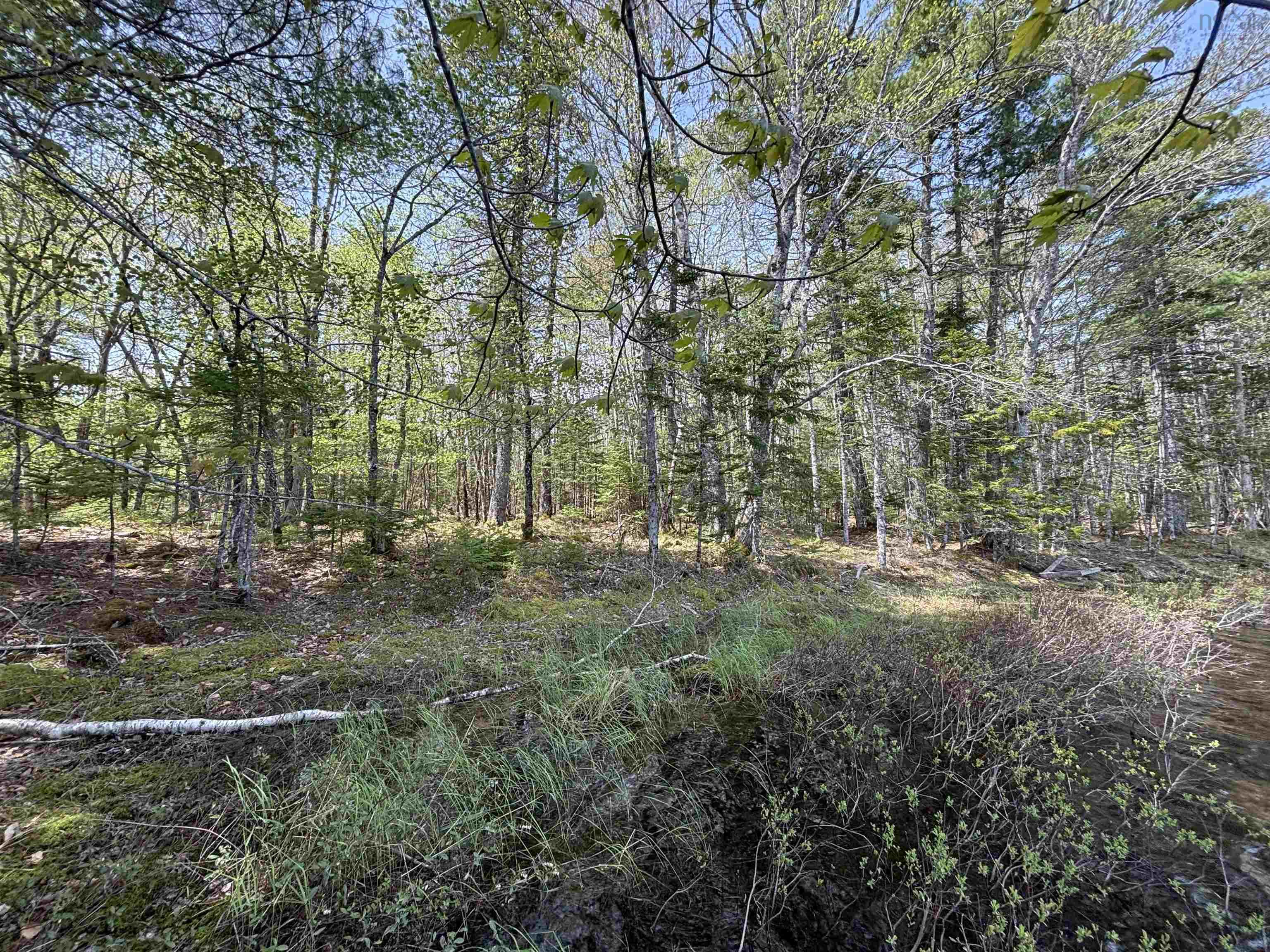 $119,900.00: Lot 4-23 Highway 325, West Clifford