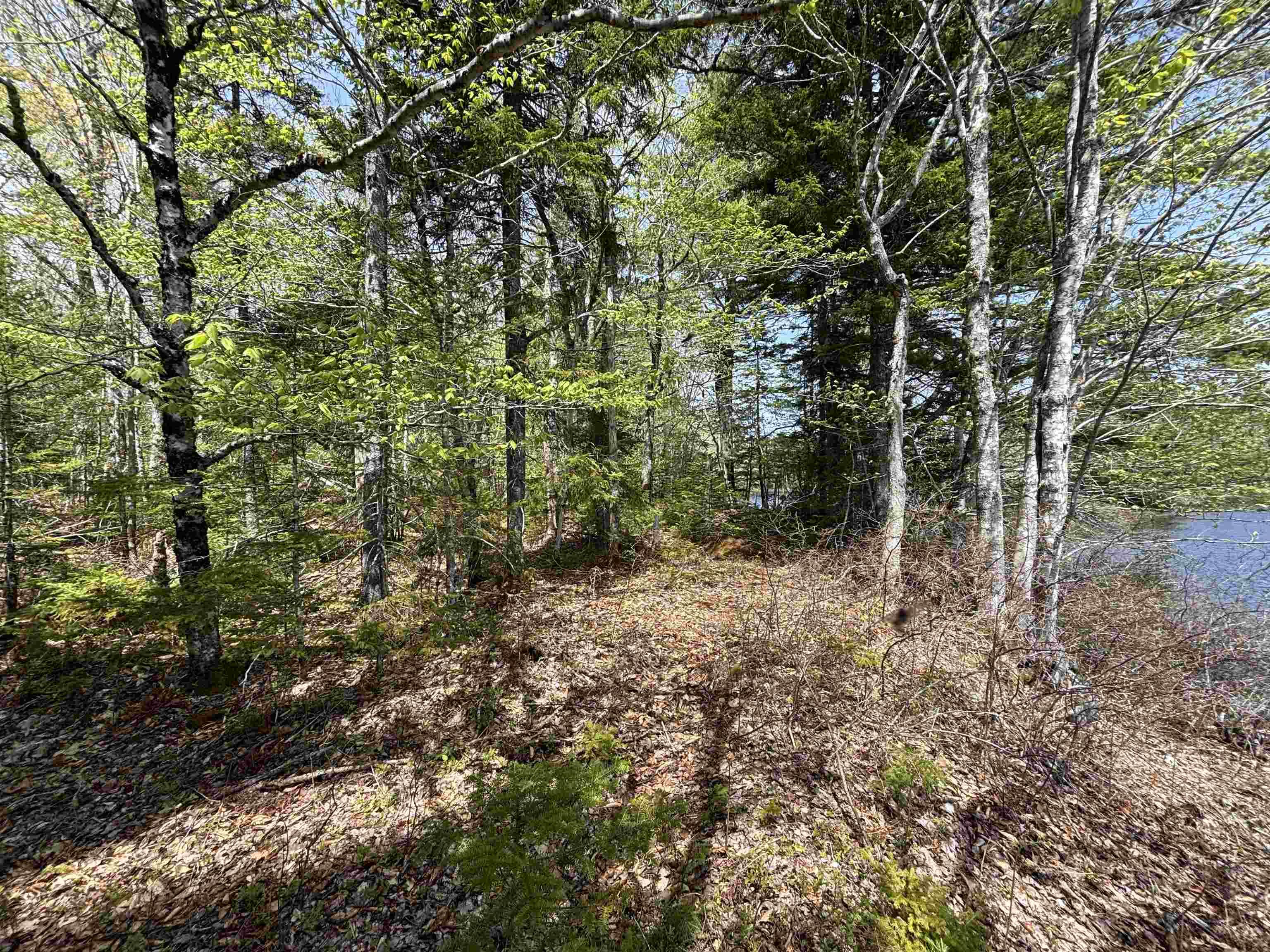 $119,900.00: Lot 4-23 Highway 325, West Clifford