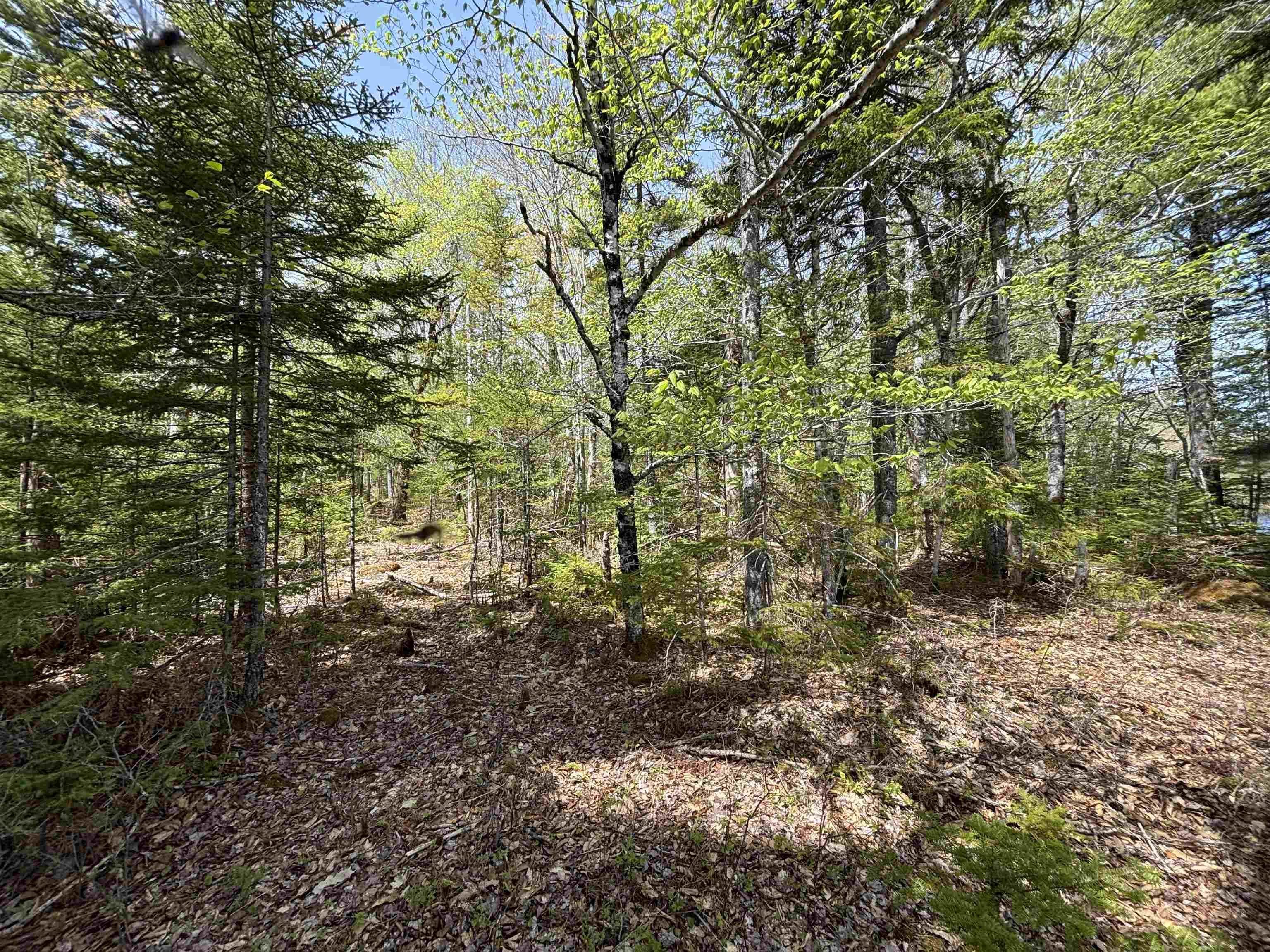 $119,900.00: Lot 4-23 Highway 325, West Clifford