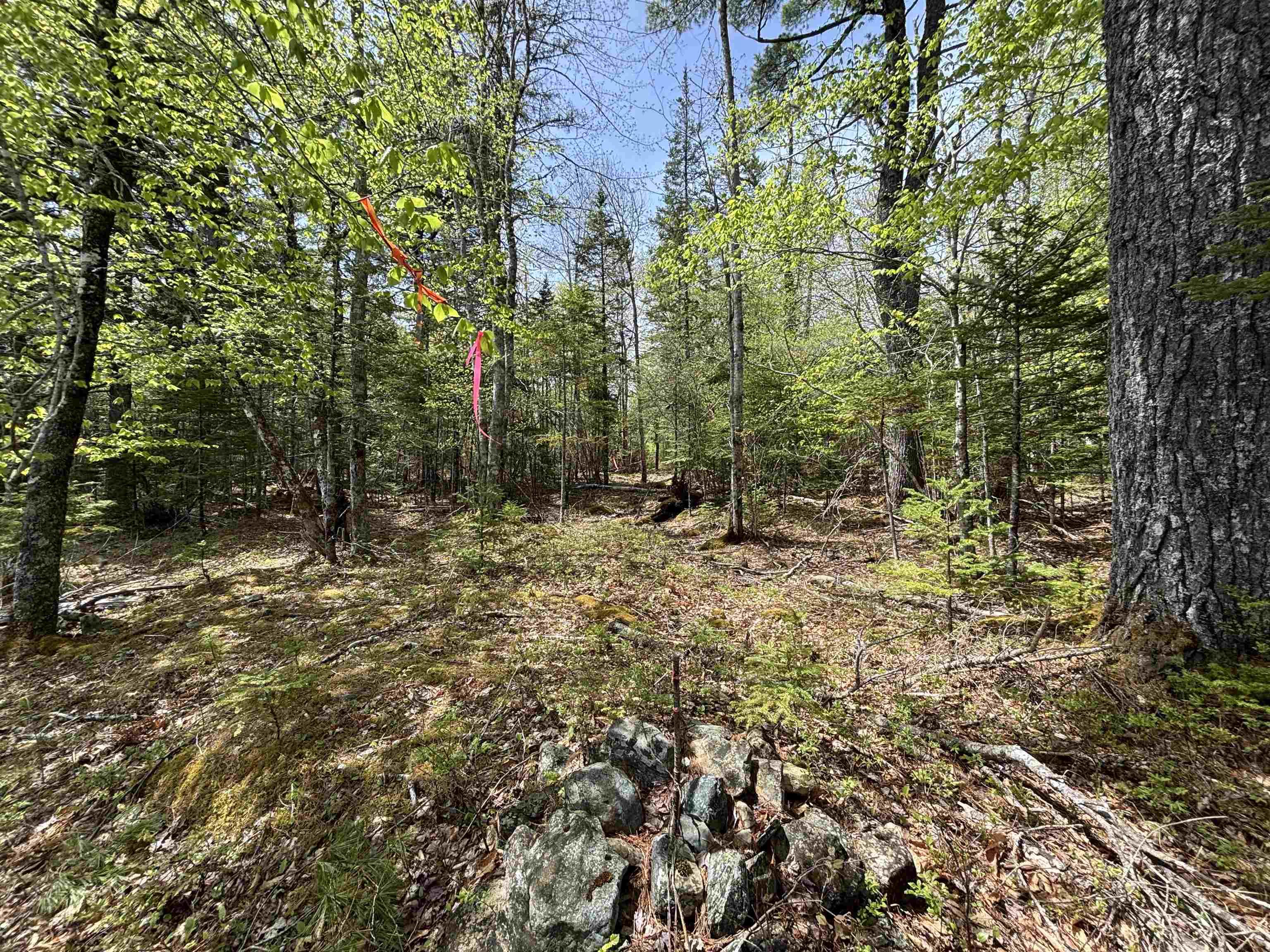 $119,900.00: Lot 3-23 Highway 325, West Clifford