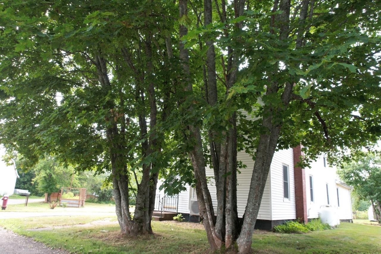 $279,000.00: 32 River Avenue, Oxford