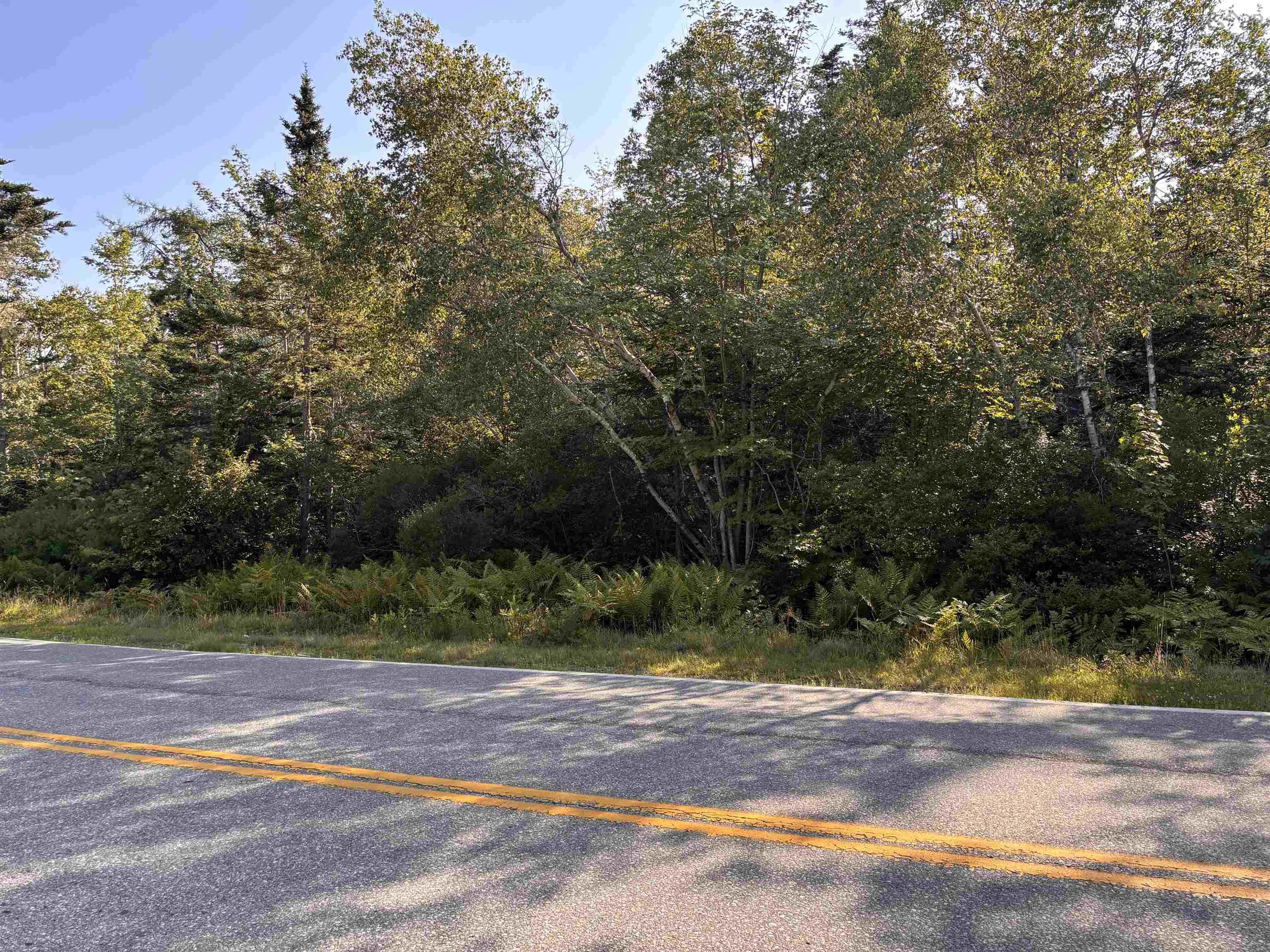 $29,900.00: Lot Pages Corner, Lydgate