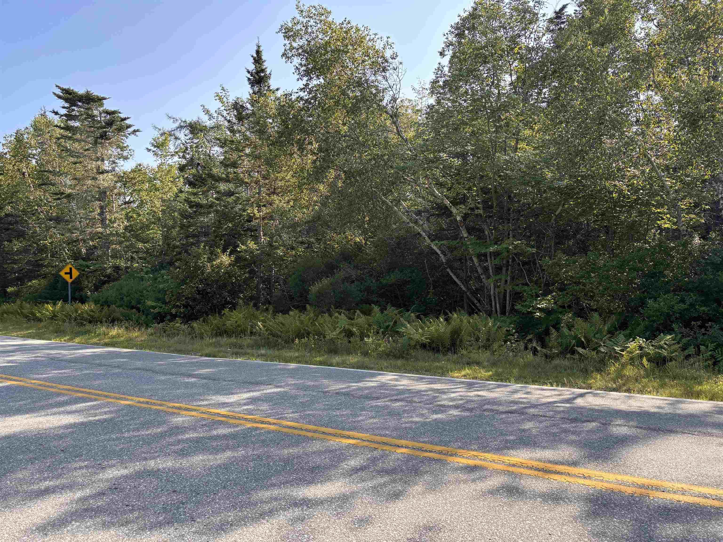 $29,900.00: Lot Pages Corner, Lydgate