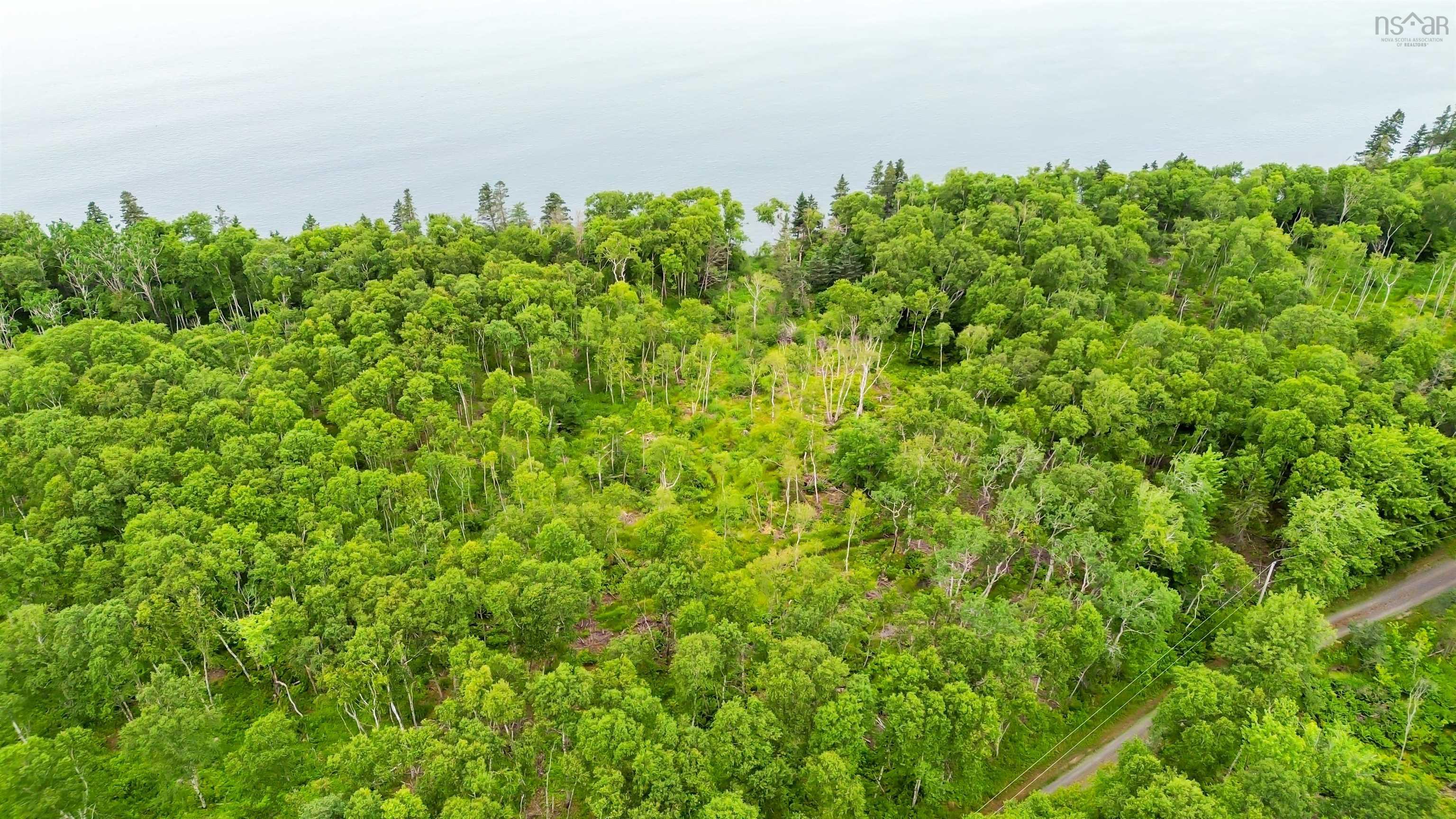 Lot 3 Wall Street, Canada Creek, NS (MLS® 202620220)