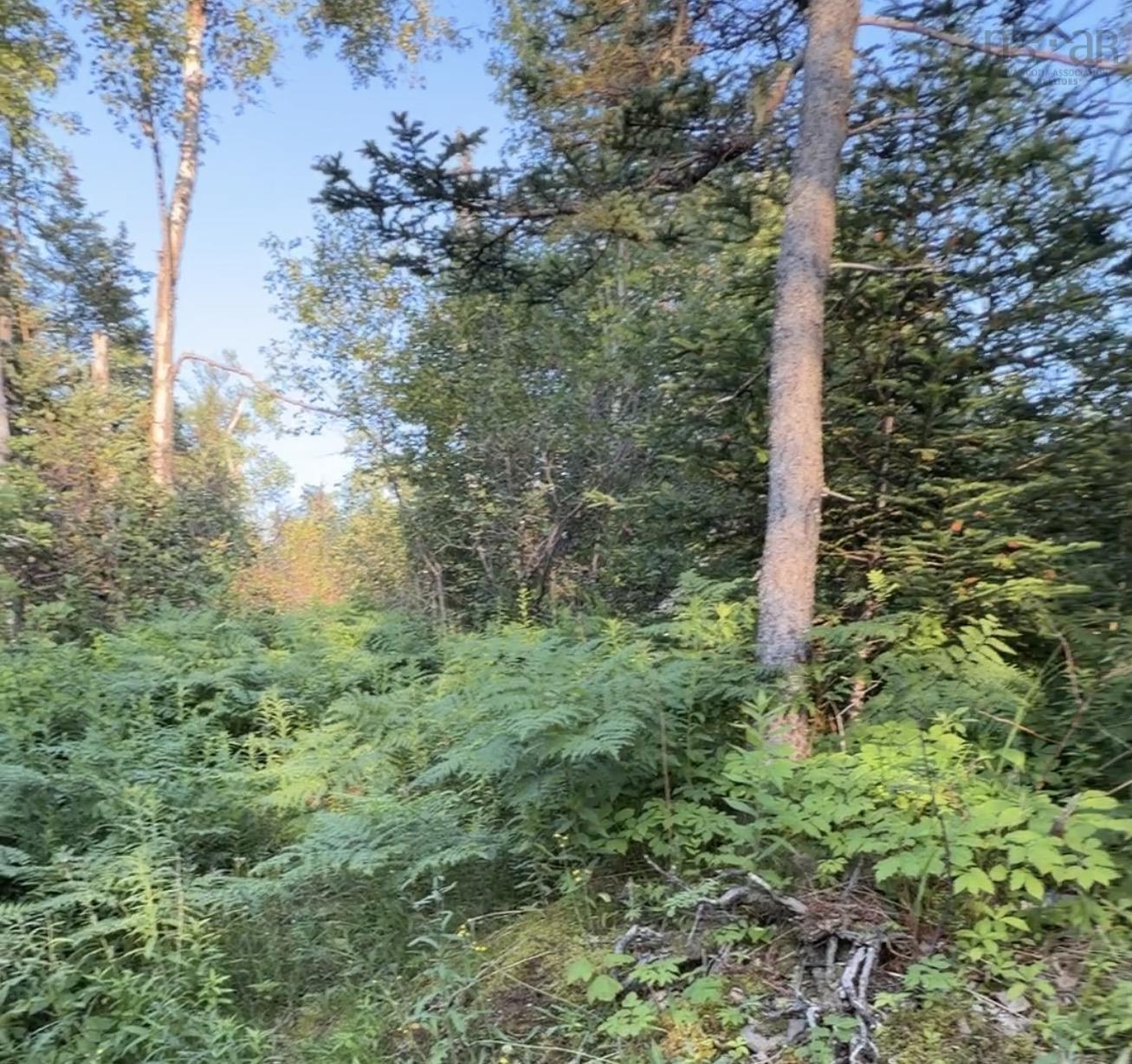 $119,900.00: Lot French Cross Road, Morden
