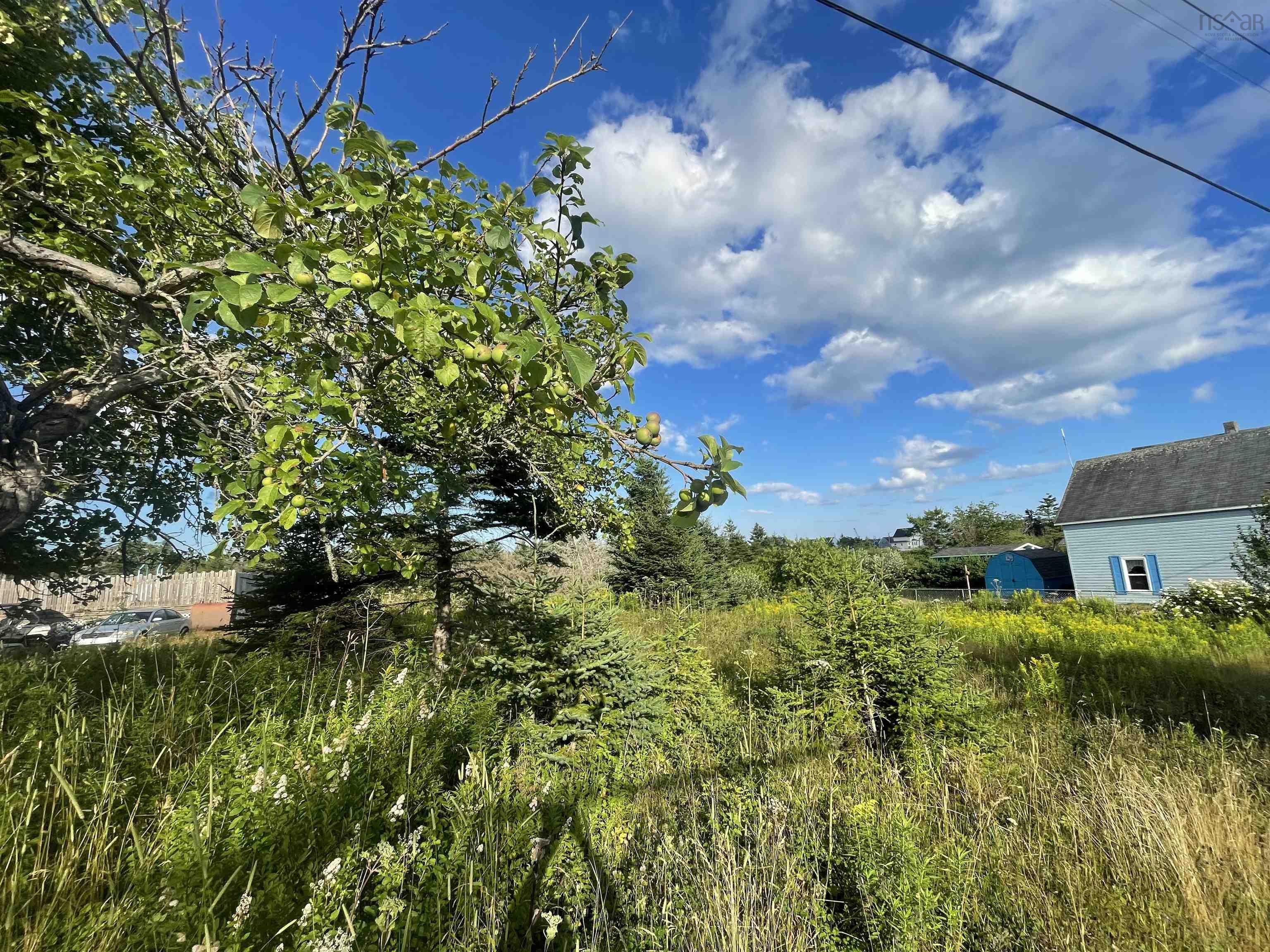 $20,000.00: 22 Lorway Street, Louisbourg