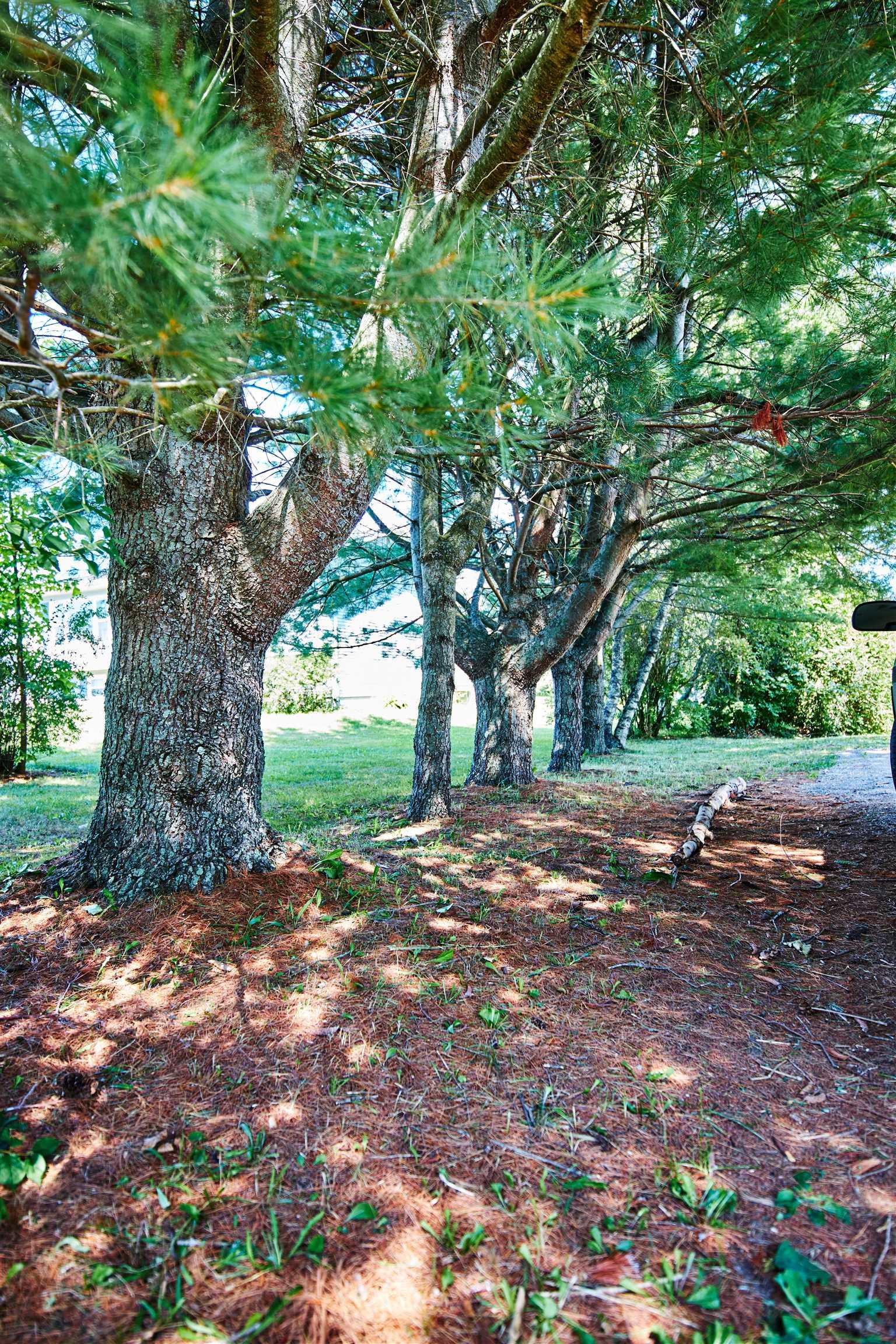 $285,000.00: 1072 J Jordan Road, Canning
