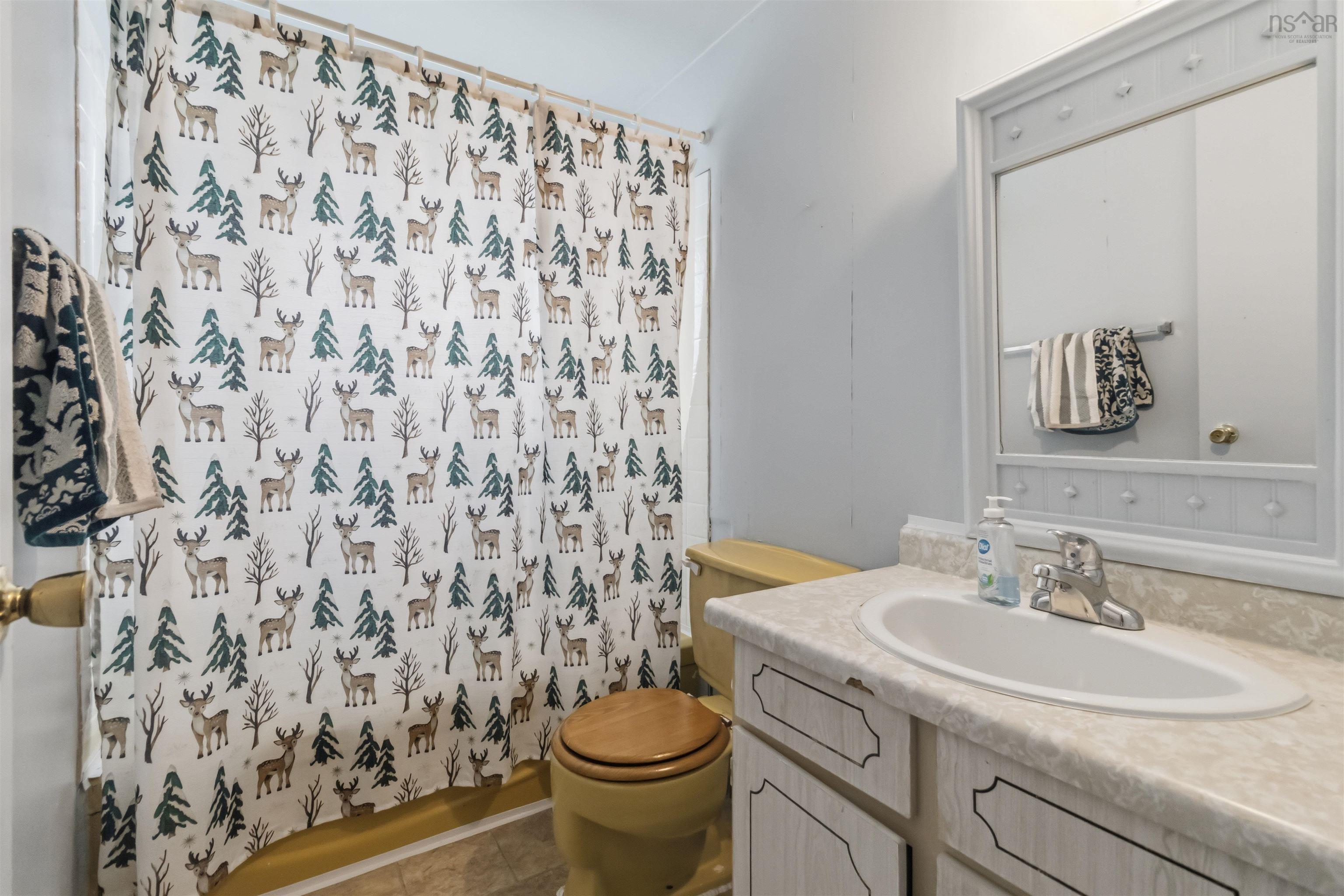 11 Savona Court, Cole Harbour, NS (MLS 202620438)