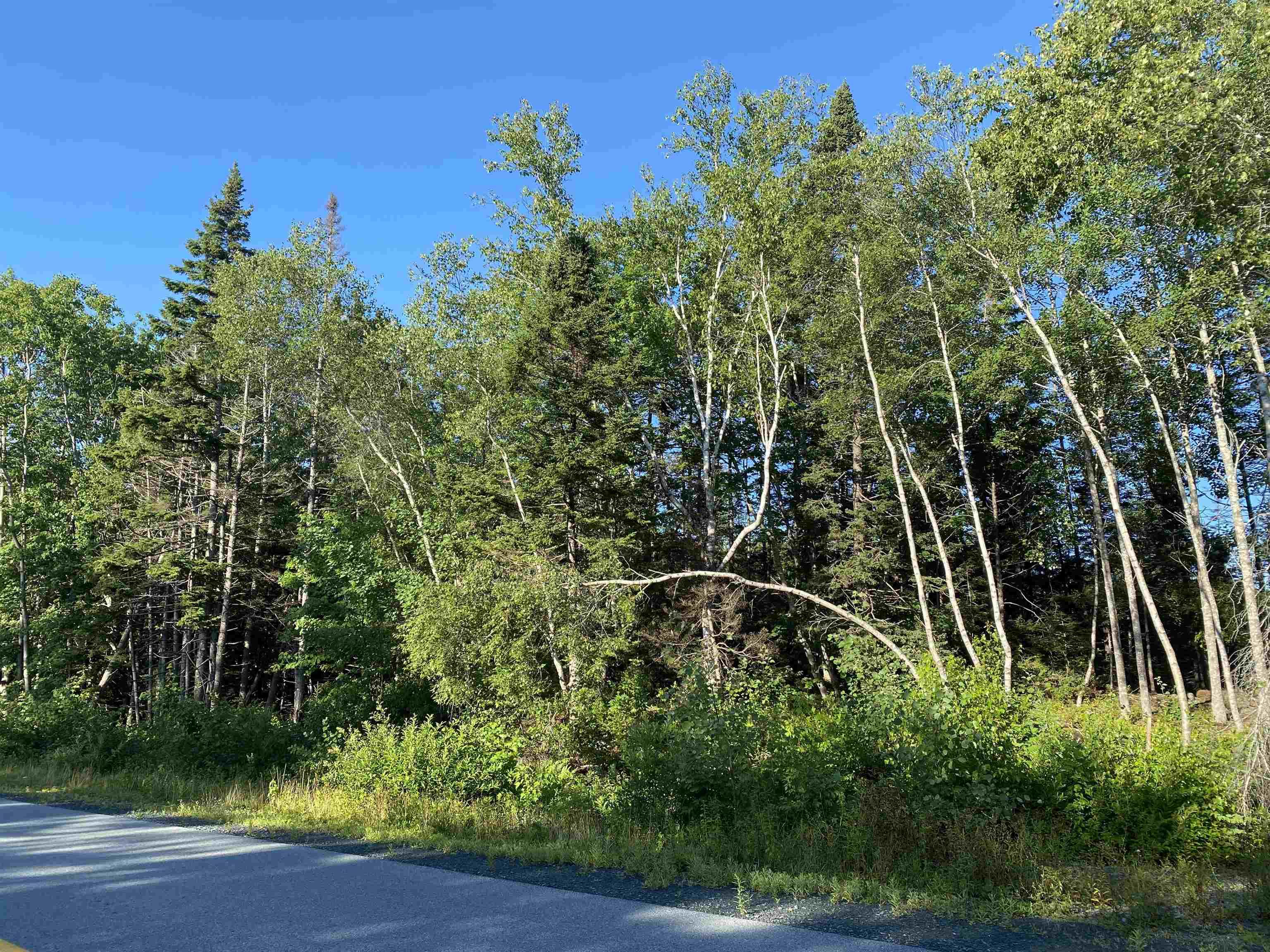 $29,900.00: Lot 14 Eastern Shore Road, Port Medway