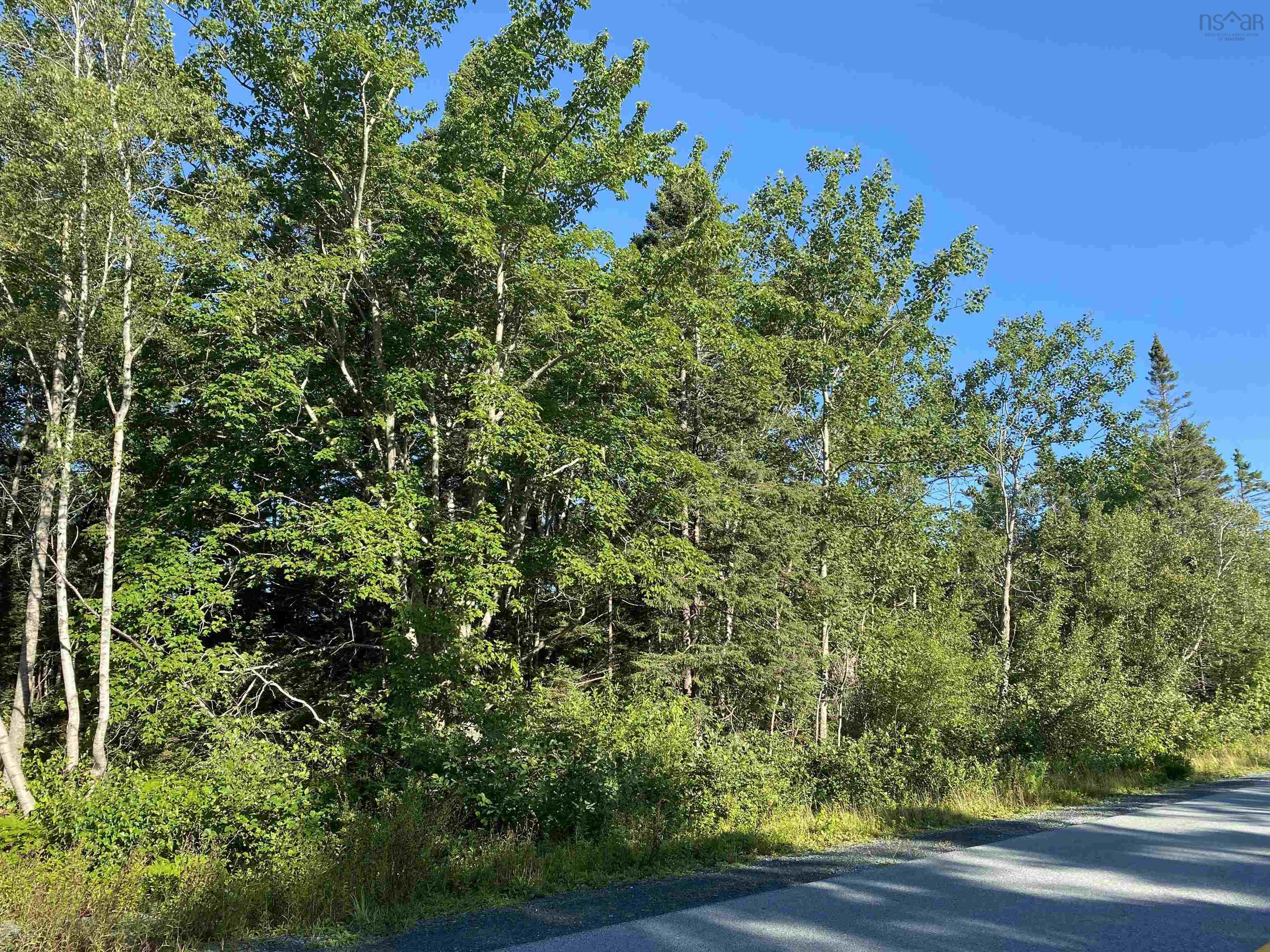 $29,900.00: Lot 14 Eastern Shore Road, Port Medway