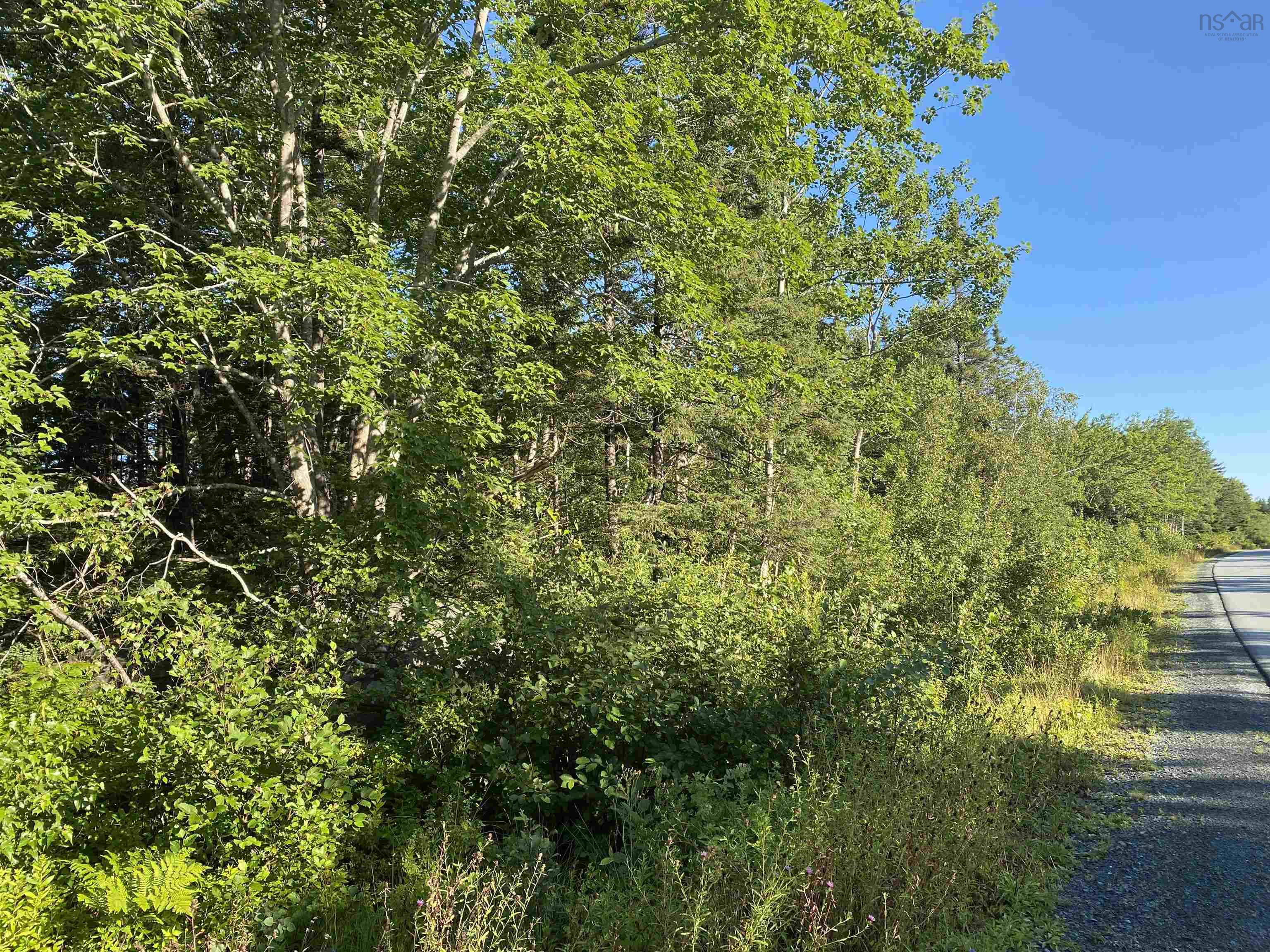 $29,900.00: Lot 14 Eastern Shore Road, Port Medway