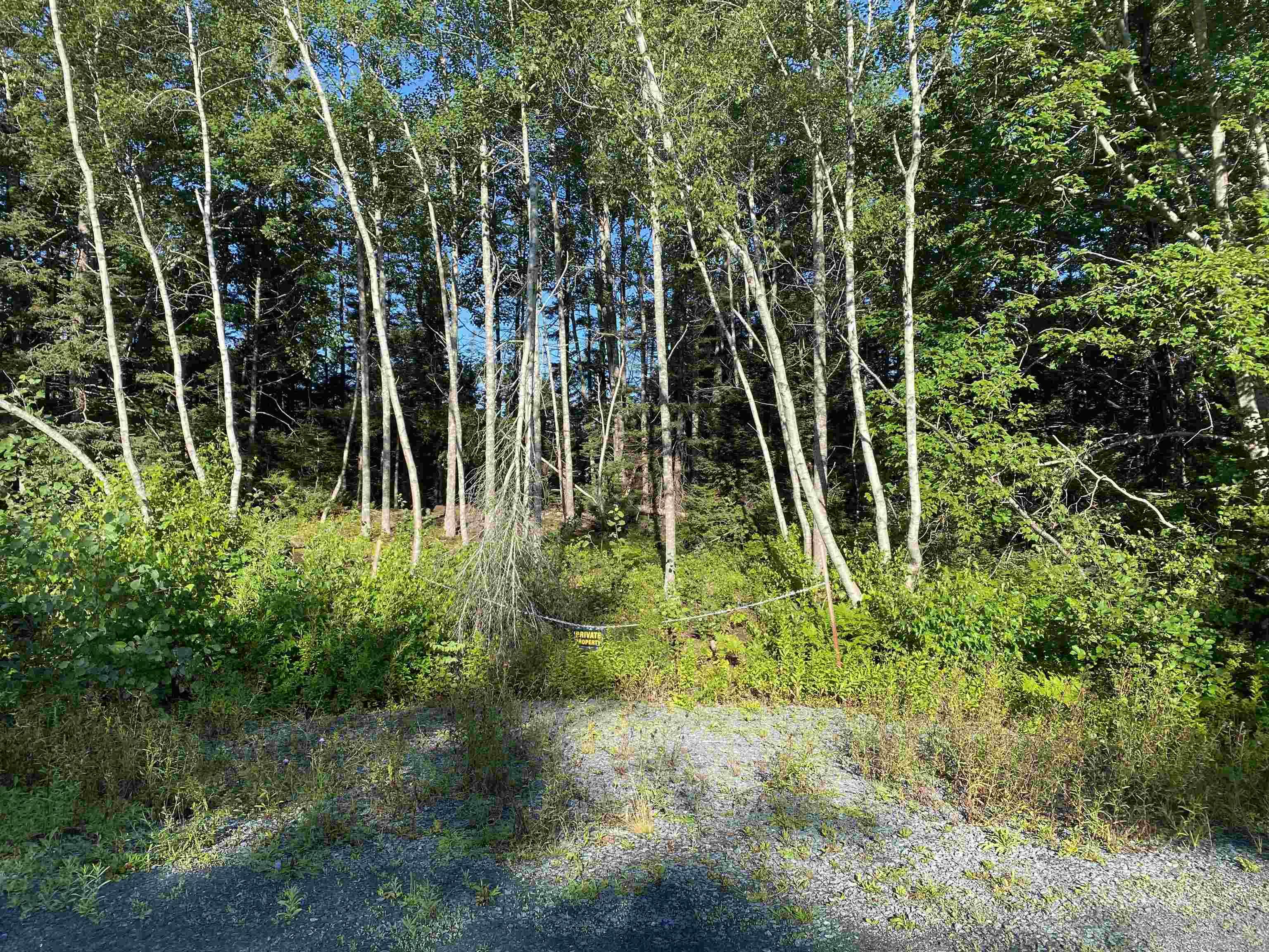 $29,900.00: Lot 14 Eastern Shore Road, Port Medway