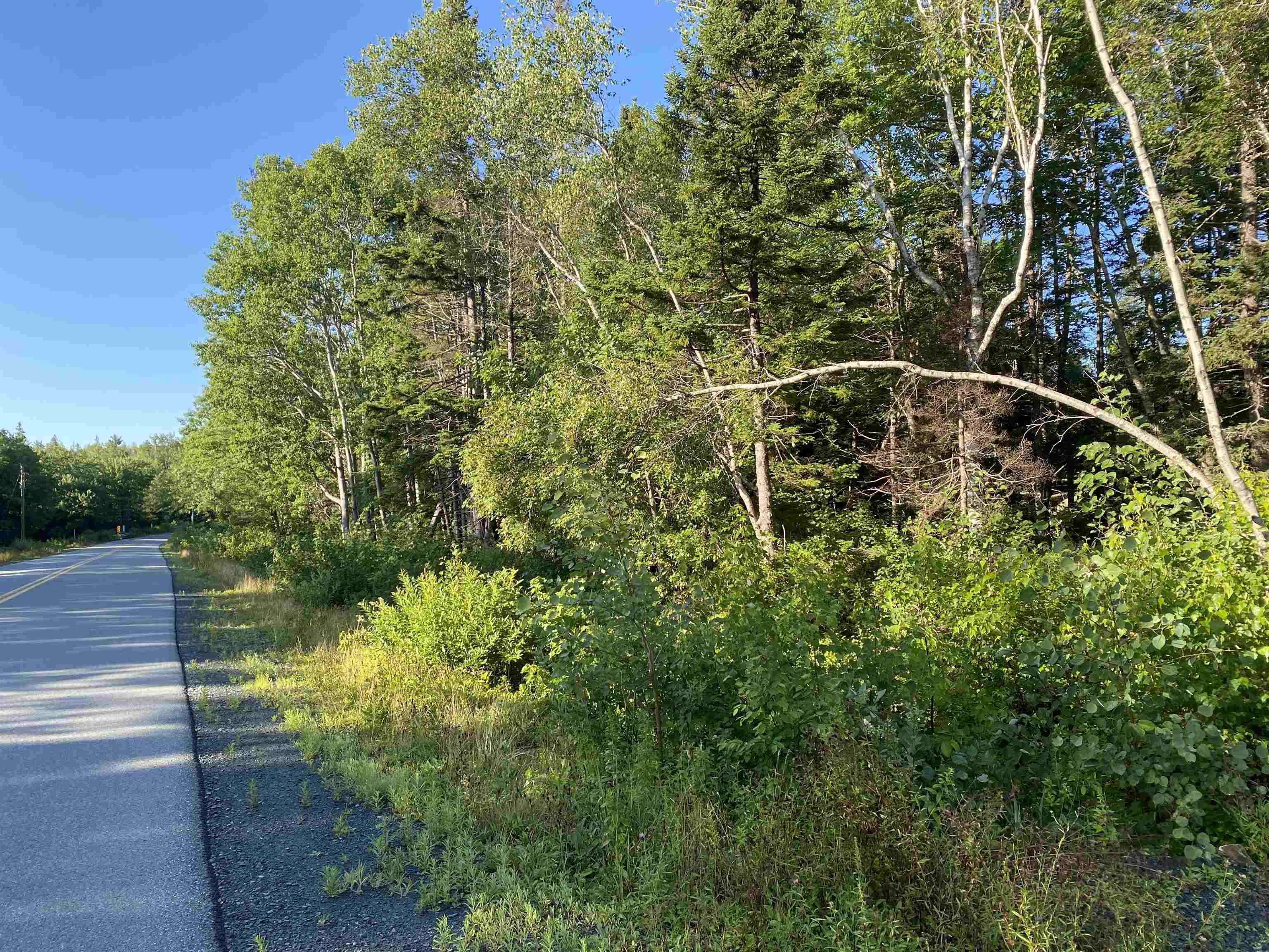 $29,900.00: Lot 14 Eastern Shore Road, Port Medway