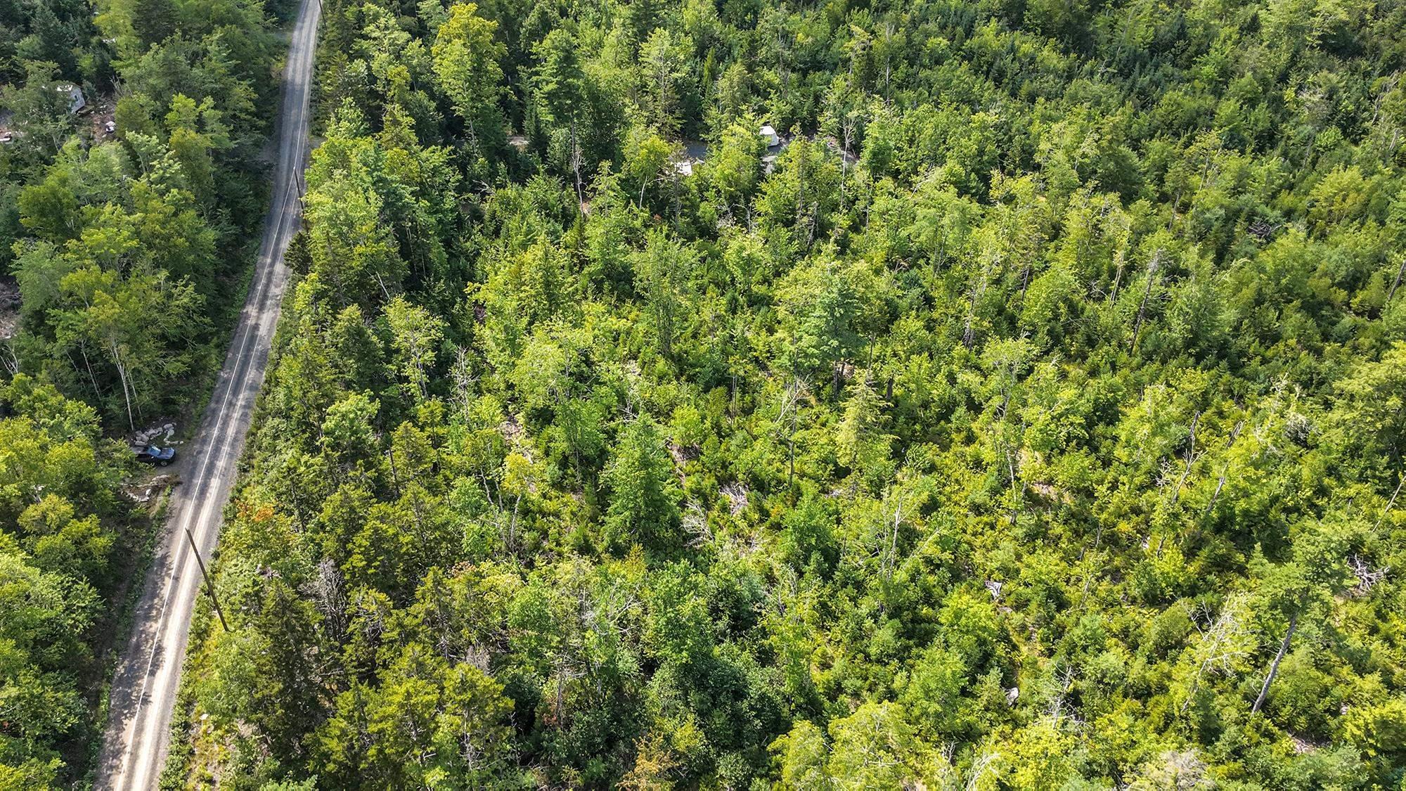$49,900.00: Lot 55 Russells Cove Road, Parkdale