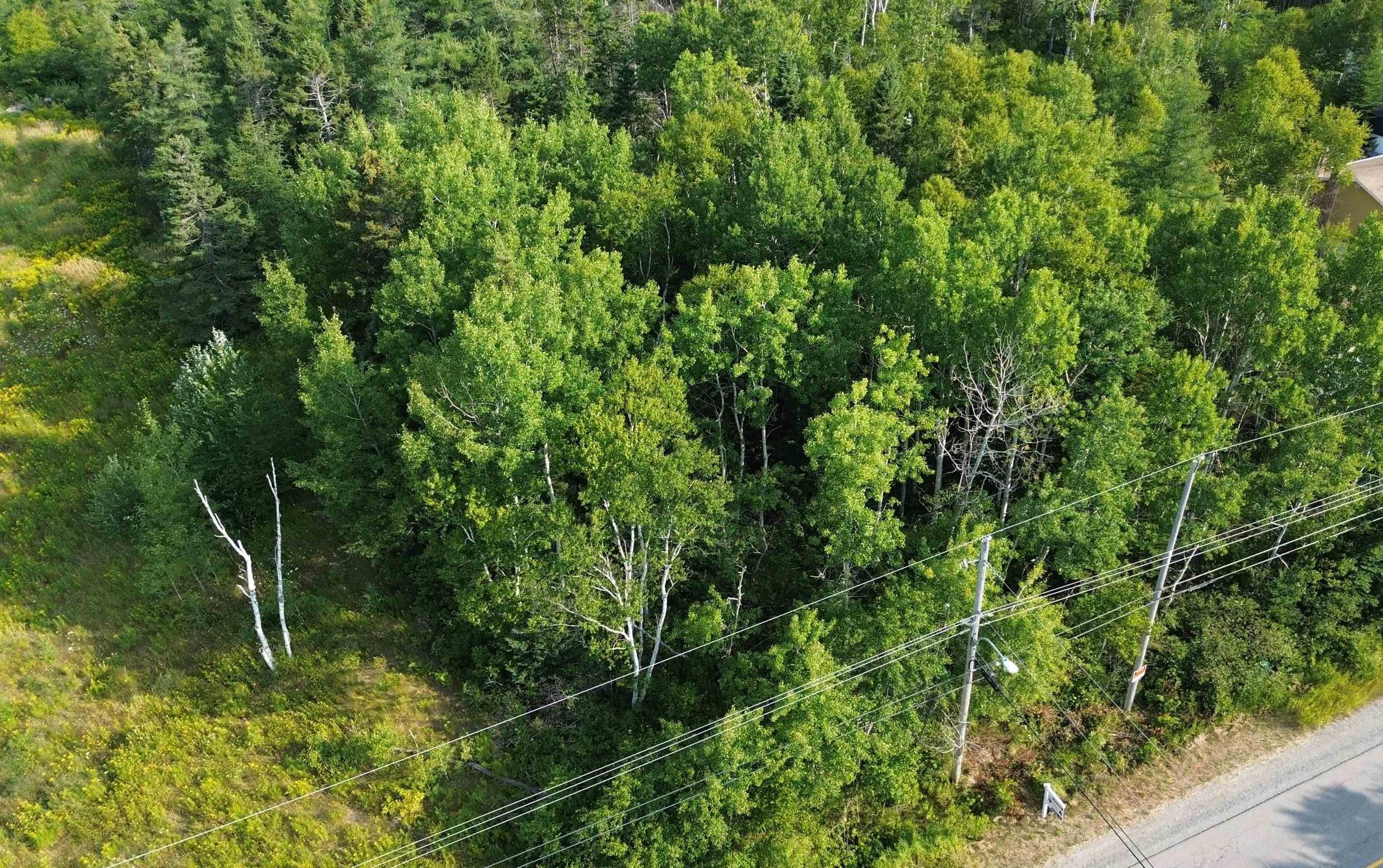 $29,000.00: Lingan Road, River Ryan