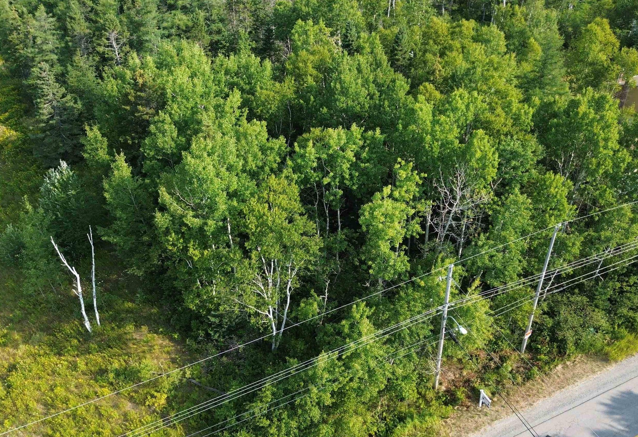 $29,000.00: Lingan Road, River Ryan