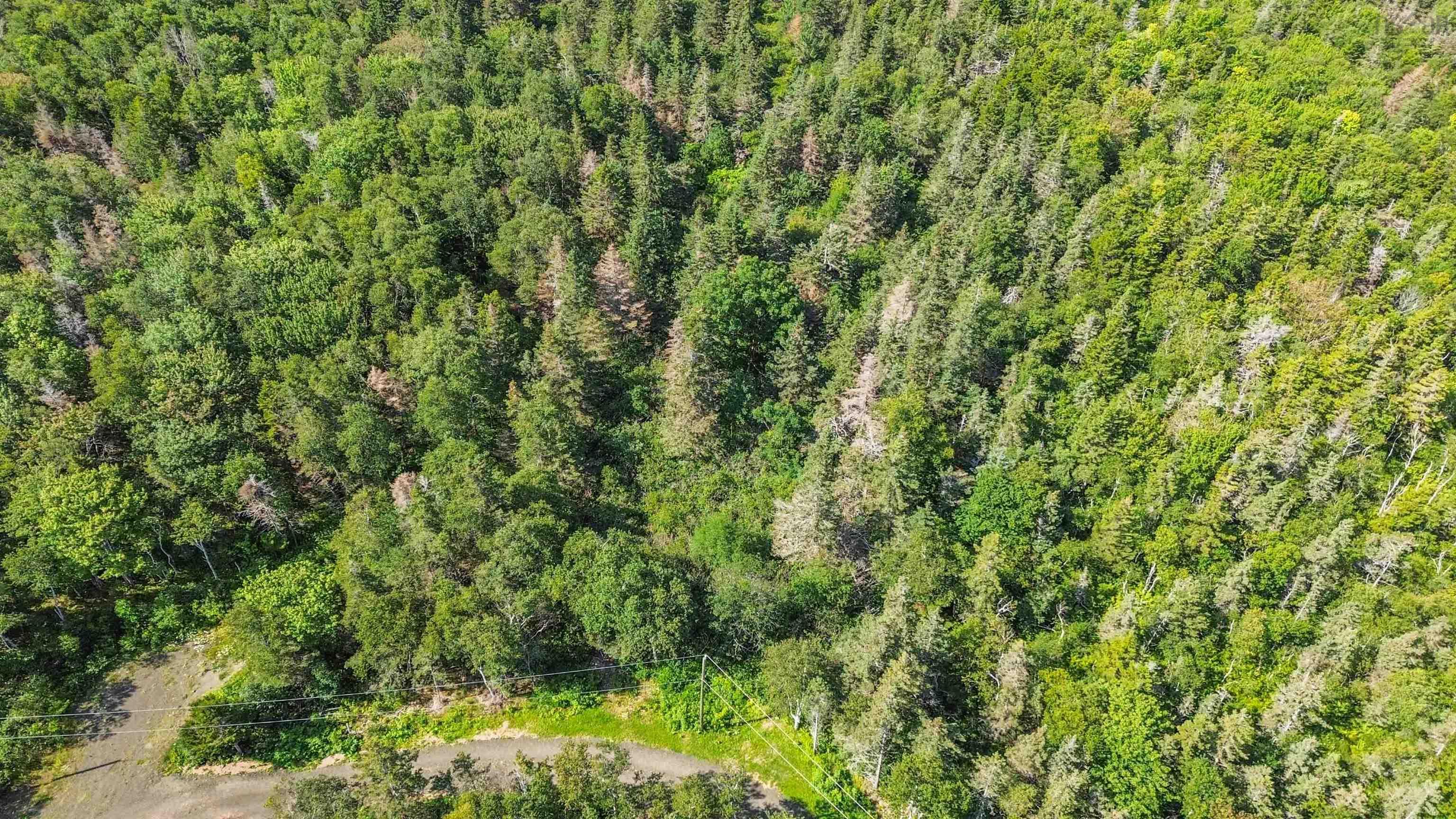 $145,000.00: Lot 1A Hampton Mountain Road, Hampton